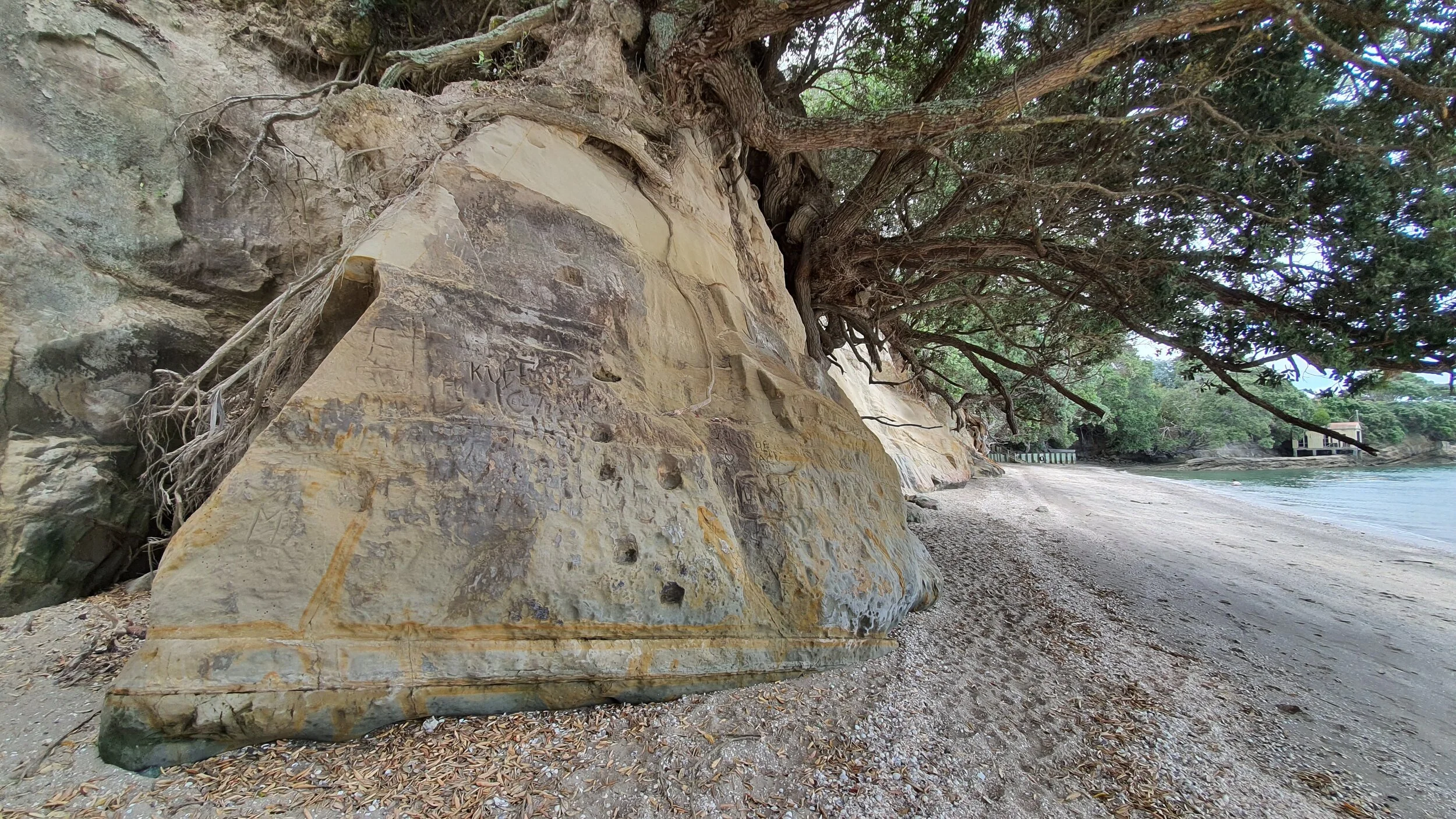 Shelly Beach Beachlands Auckland New Zealand