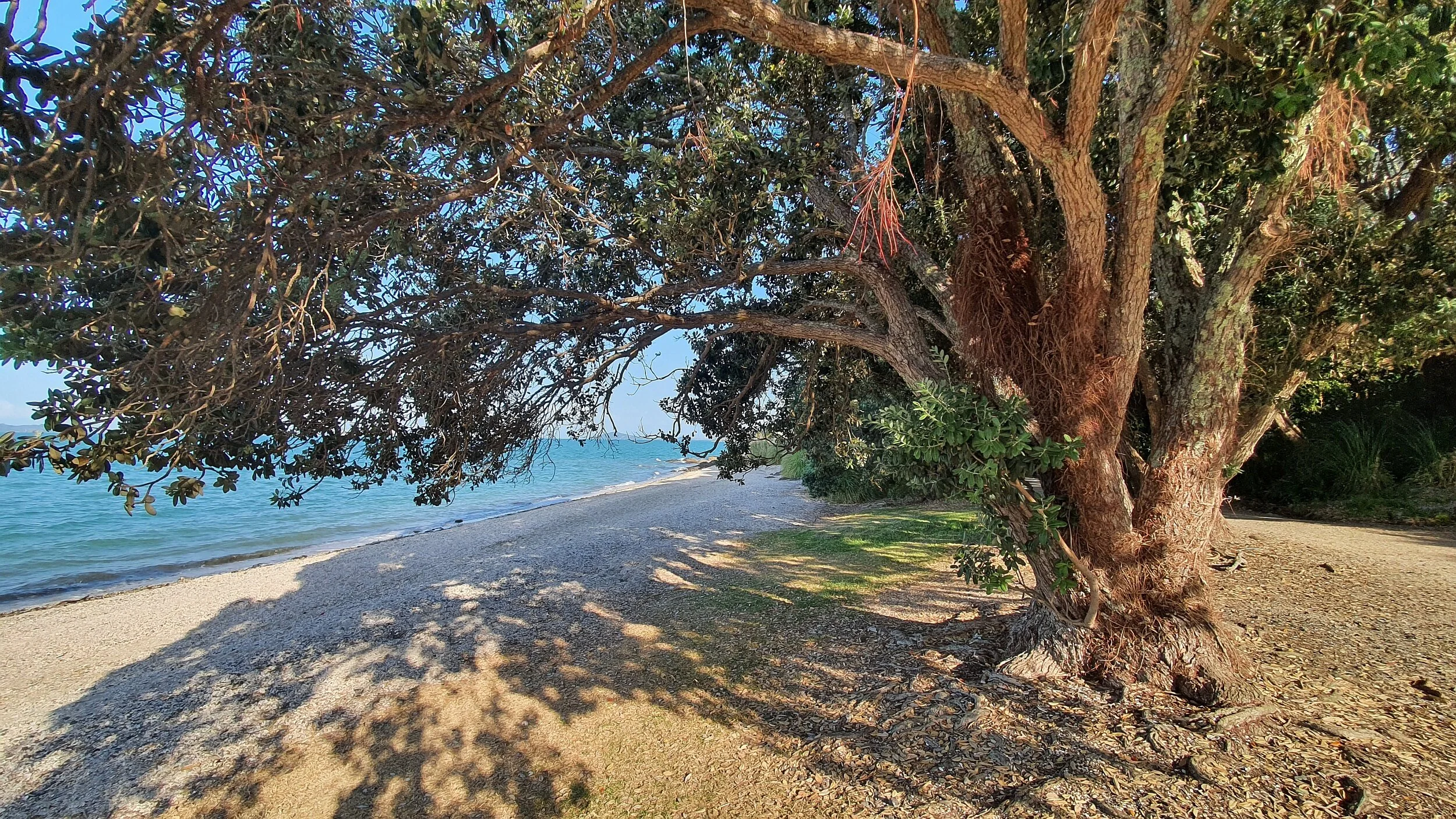 Te Pene Beach, Beachlands Maraetai Walkway, Auckland
