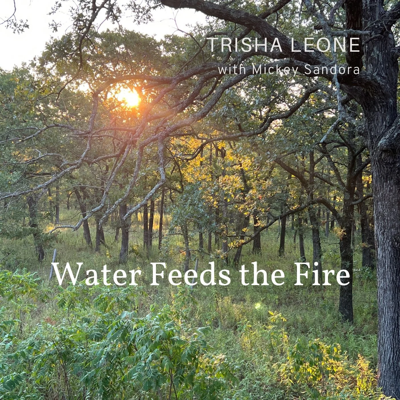 Water Feeds the Fire Album Cover.jpg