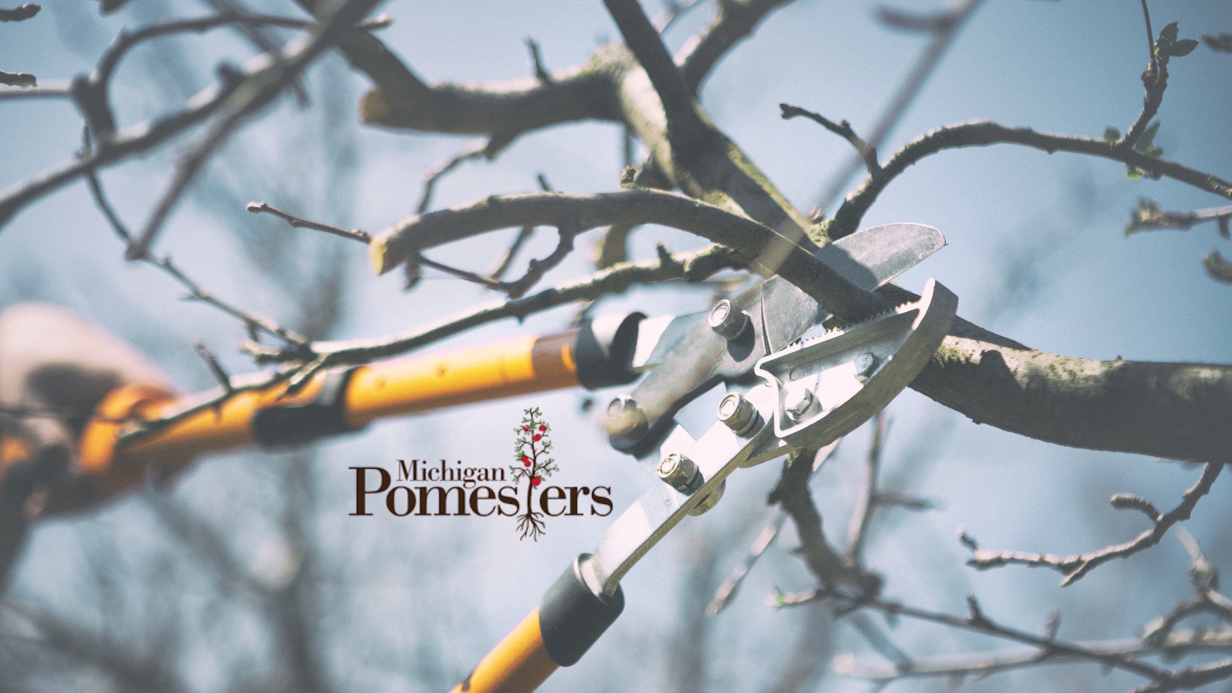 Spring Pruning Meeting 