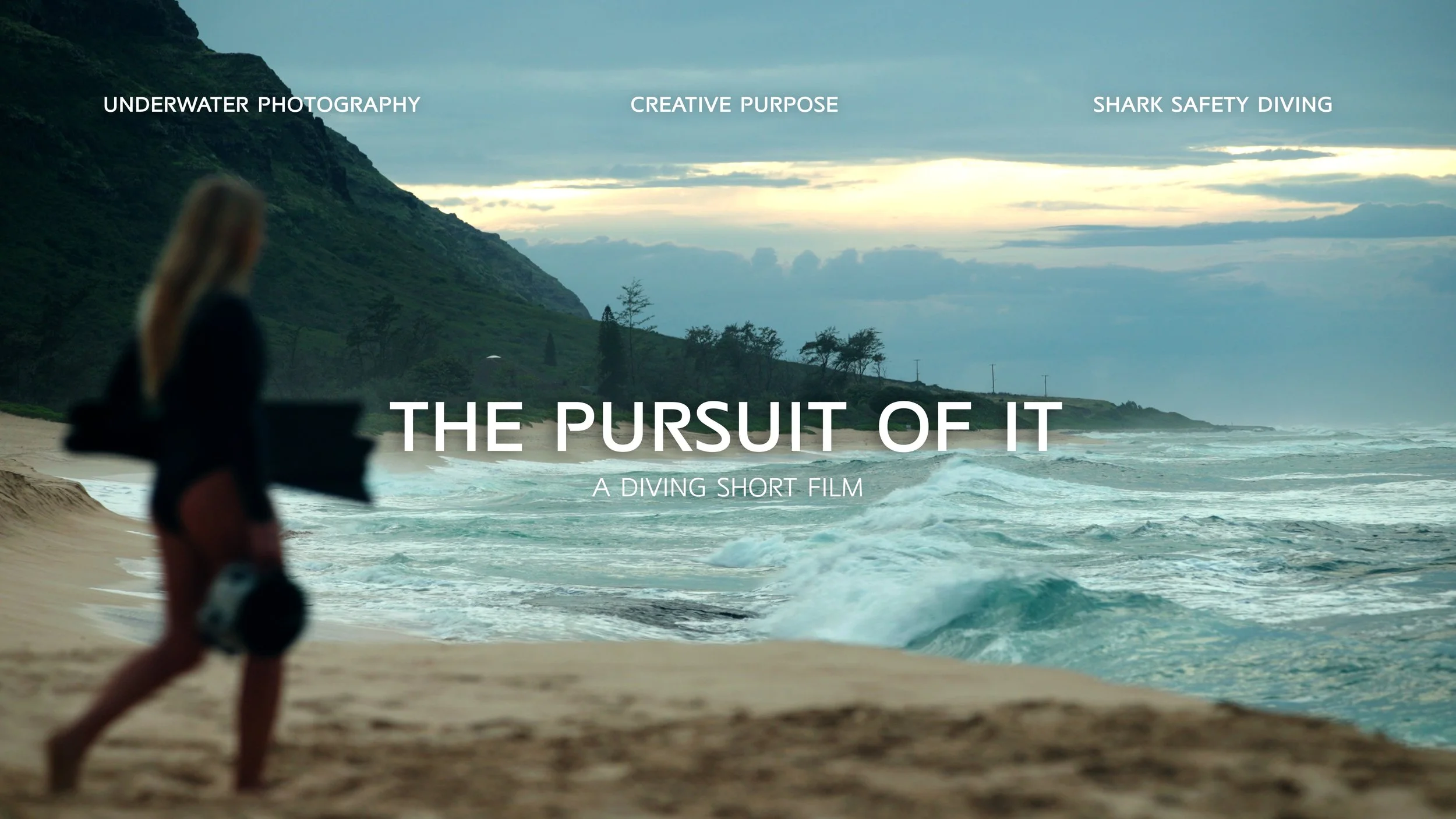 The Pursuit Of It