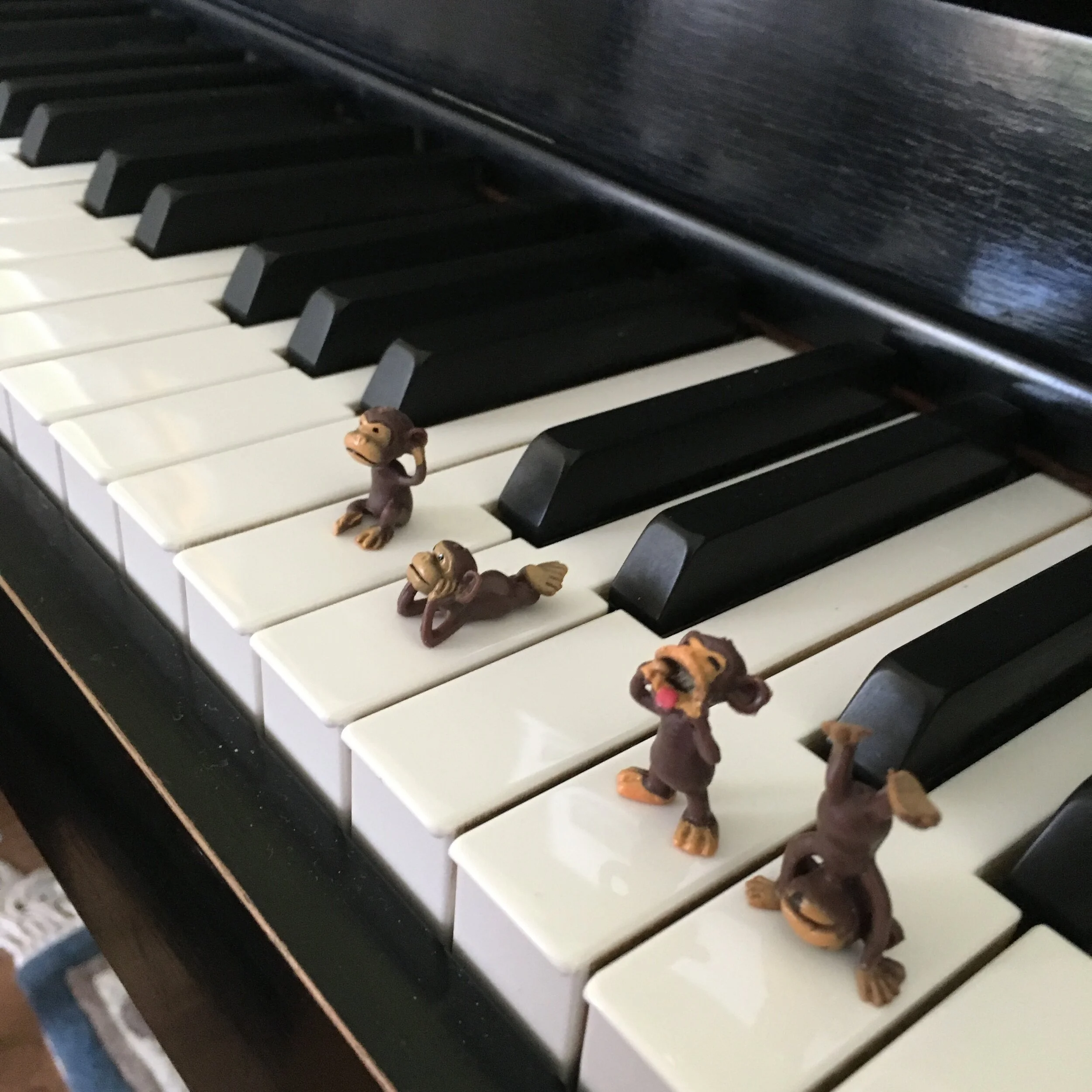Monkeys on keys.jpeg