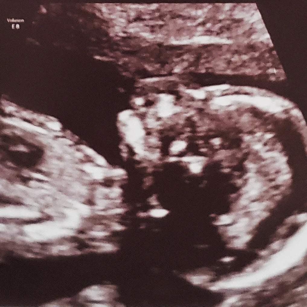 Write Your (Push) Life - Virtual Edition