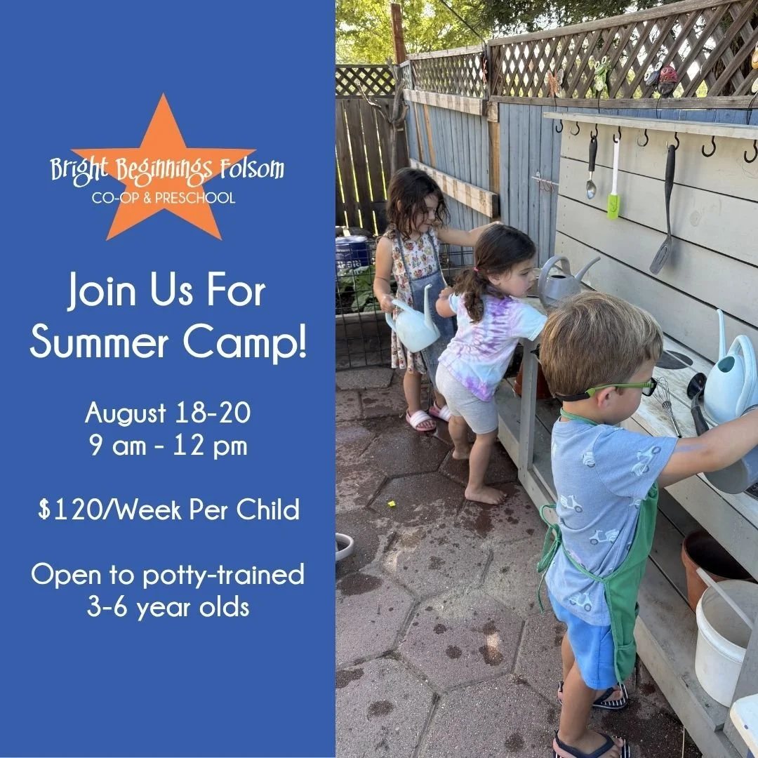 Let the summer play begin! ☀️🎨

Bright Beginnings invites your little explorers to join us for three days of magic, friendship, and play! Our Summer Camp is the perfect way for your kiddos to soak up the sun and burn off some energy in a safe, fun e