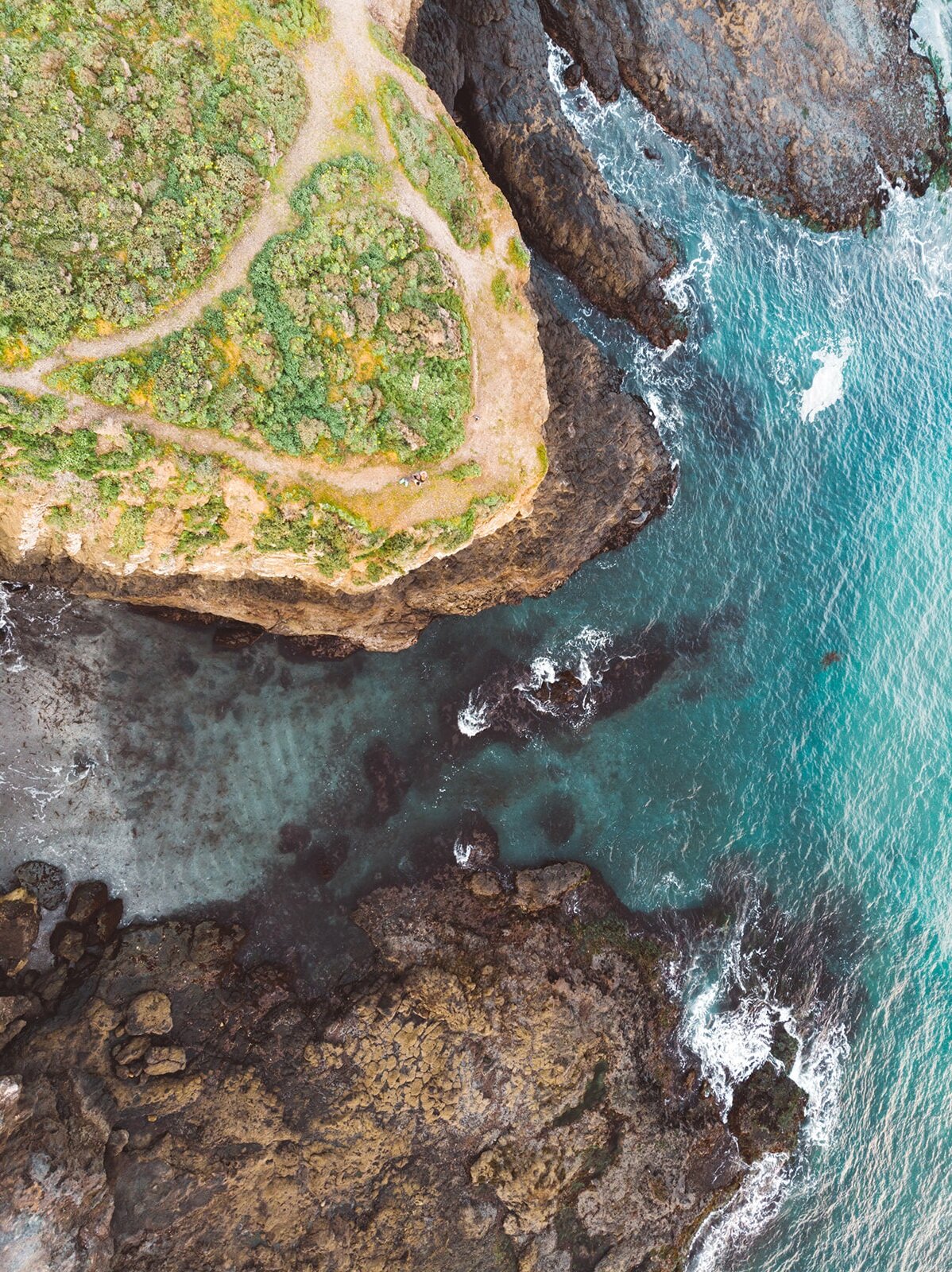 DJI_0765.jpg