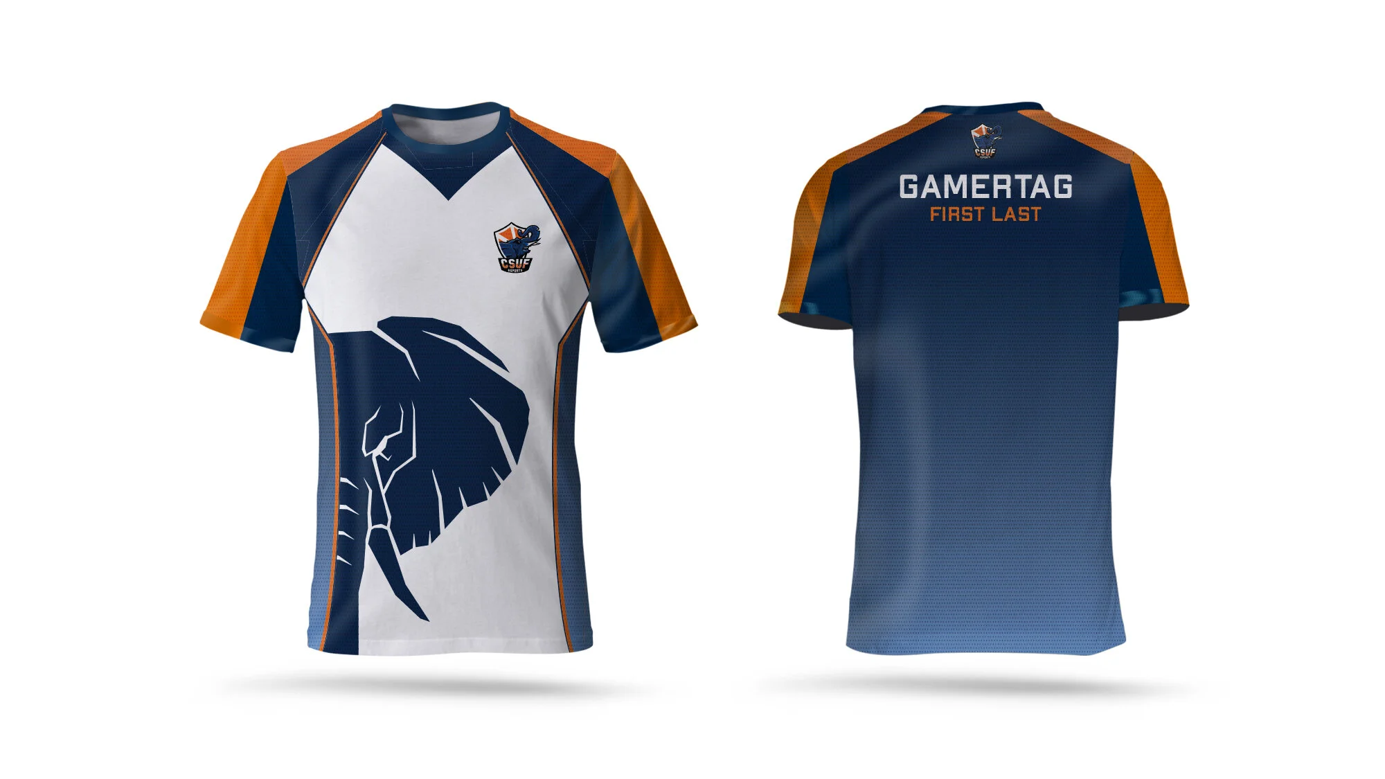 CSUF Mockup Round4 - 1.jpg