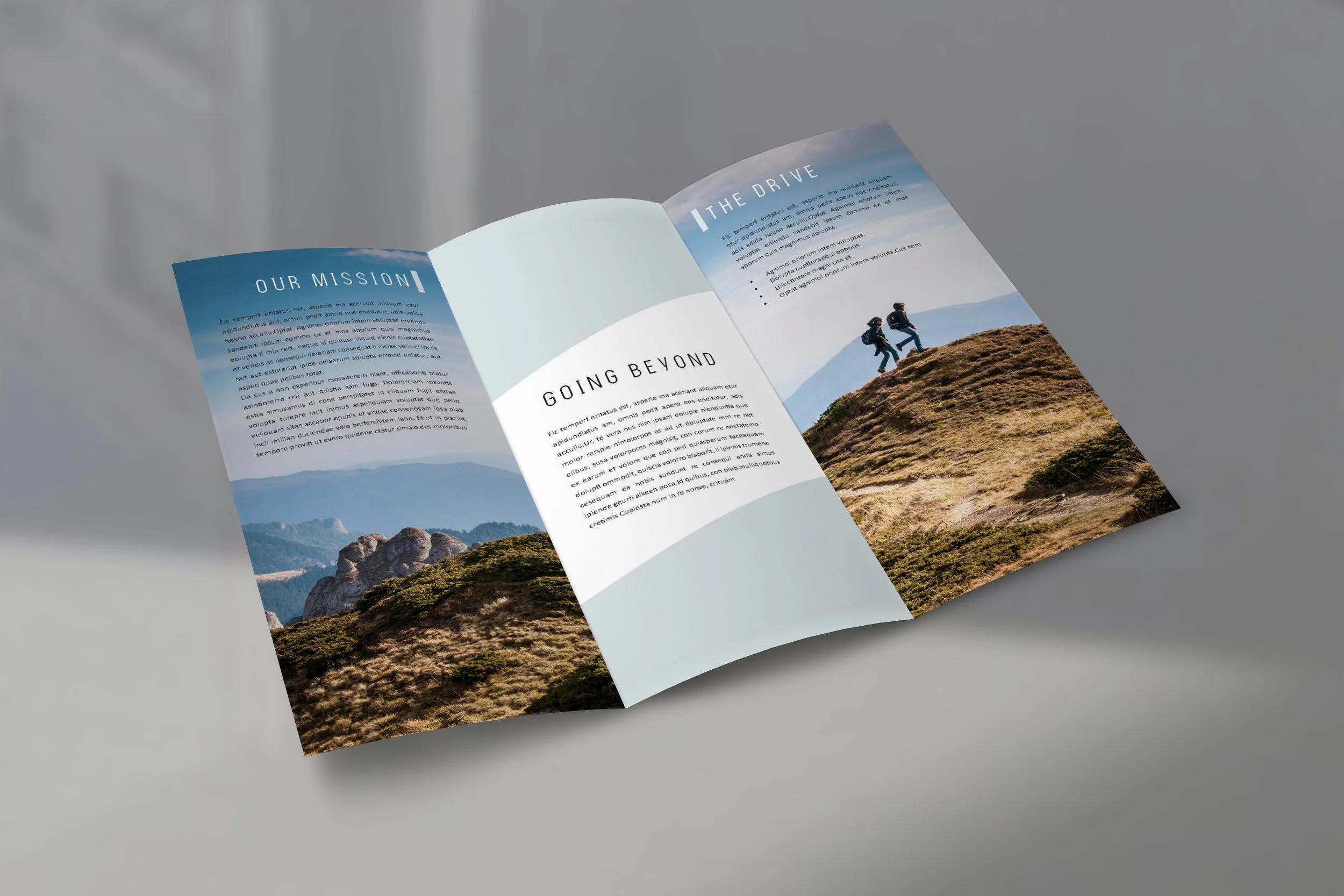 Trifold Brochure Mock-Up 2.jpg