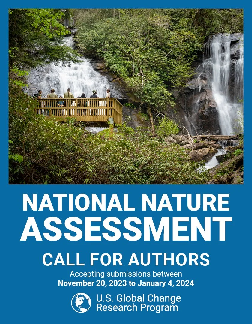 NNA Call for Authors_V23.jpg