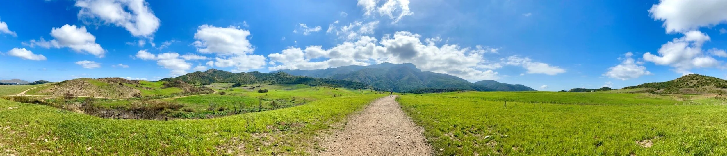 Thousand Oaks Open Space