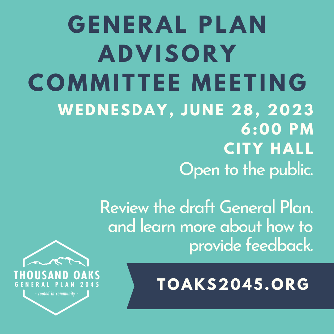 Discuss Draft General Plan 2045