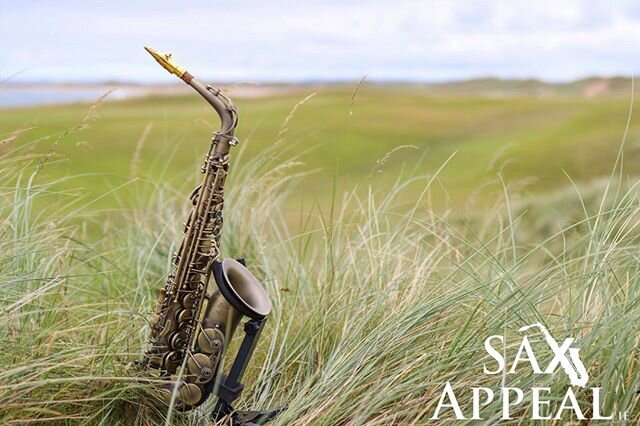 Glad to see things beginning to return to normal lately! Just counting down the days until I can saxy on the dancefloor again! 😂🎷🤟
.
.
#SaxAppeal #saxophone #sax #music #dj #saxophoneplayer #djsax #djsax #saxdj #insta #instagood #instagram #instad