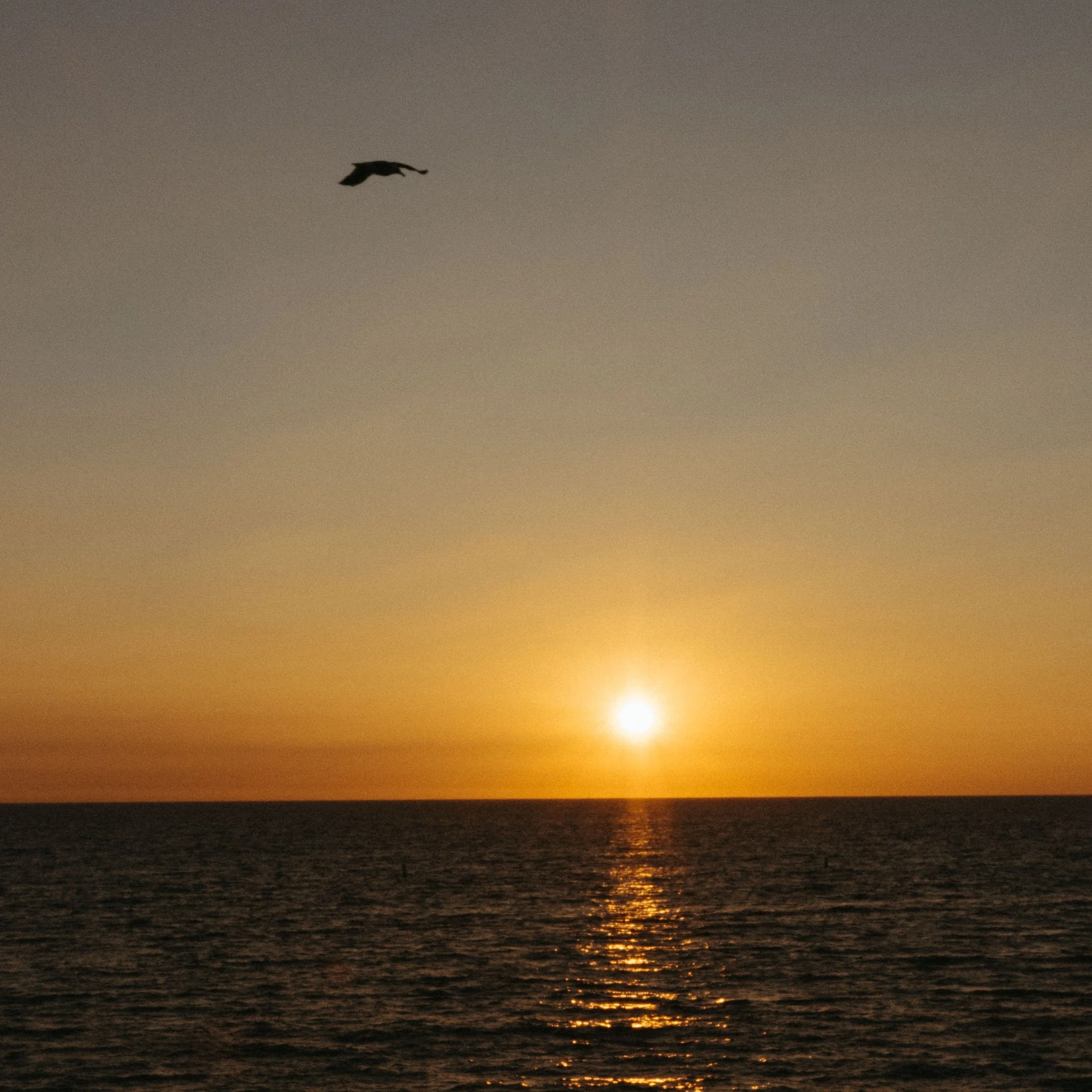 pier-2.jpg