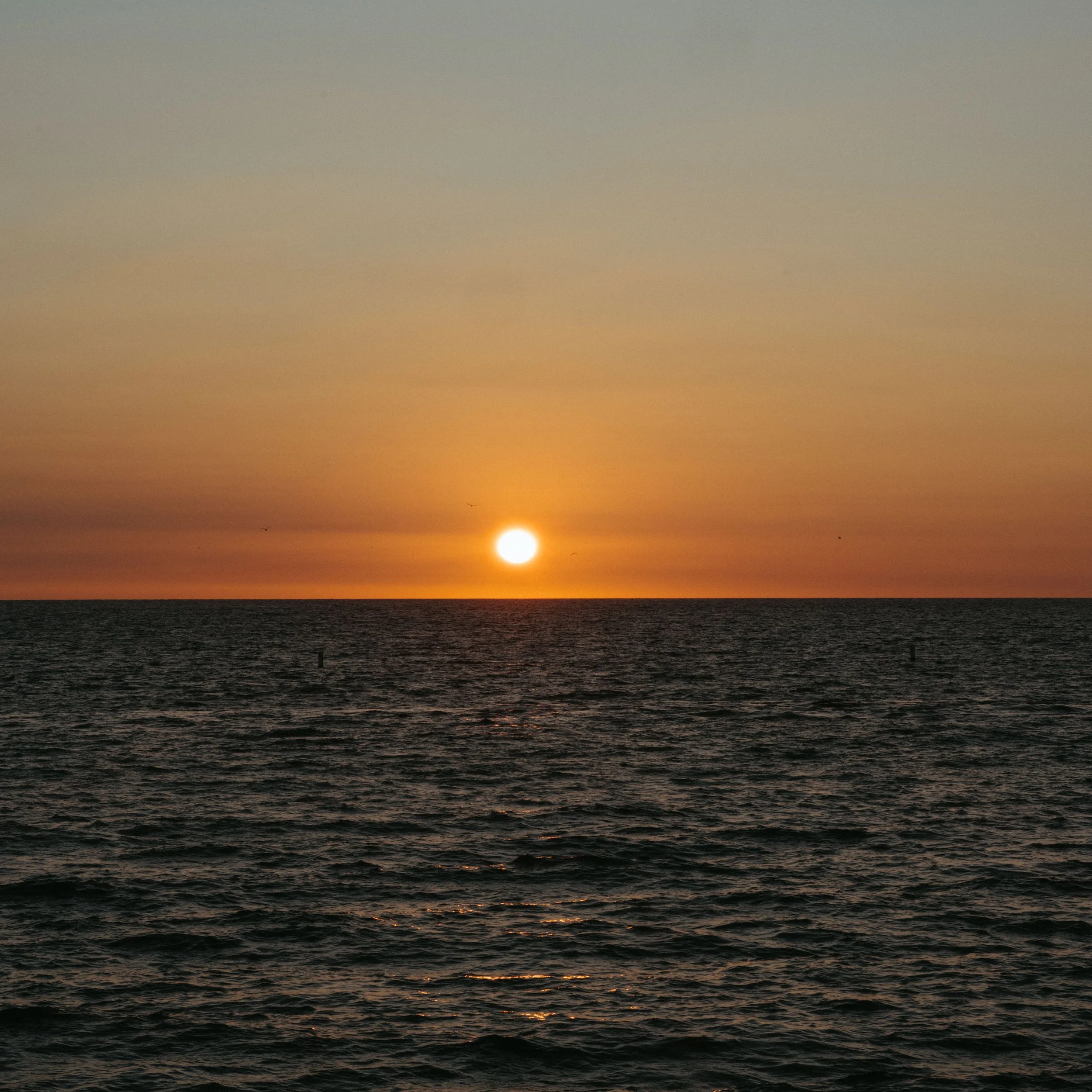 pier-3.jpg
