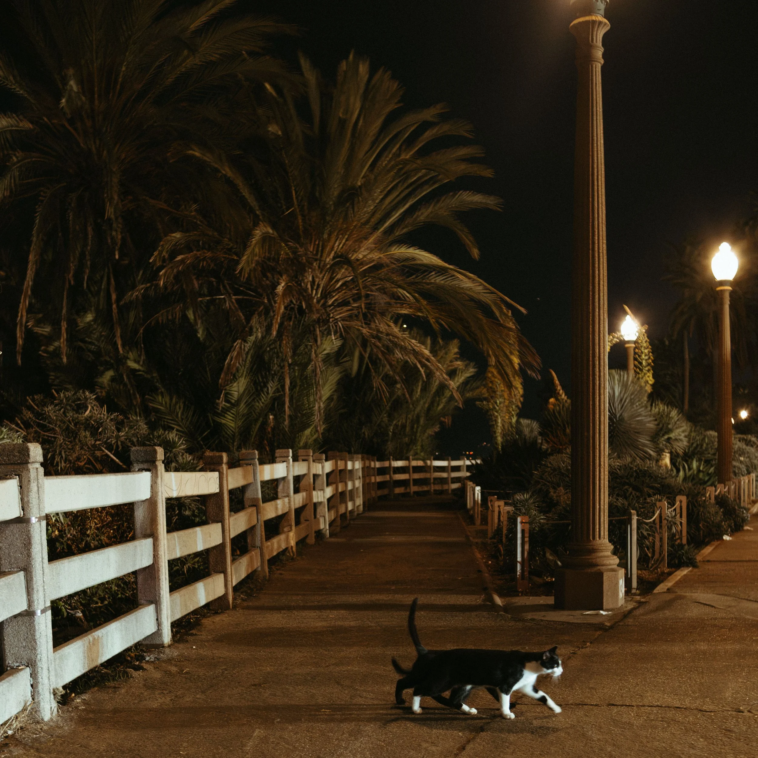 pier-25.jpg