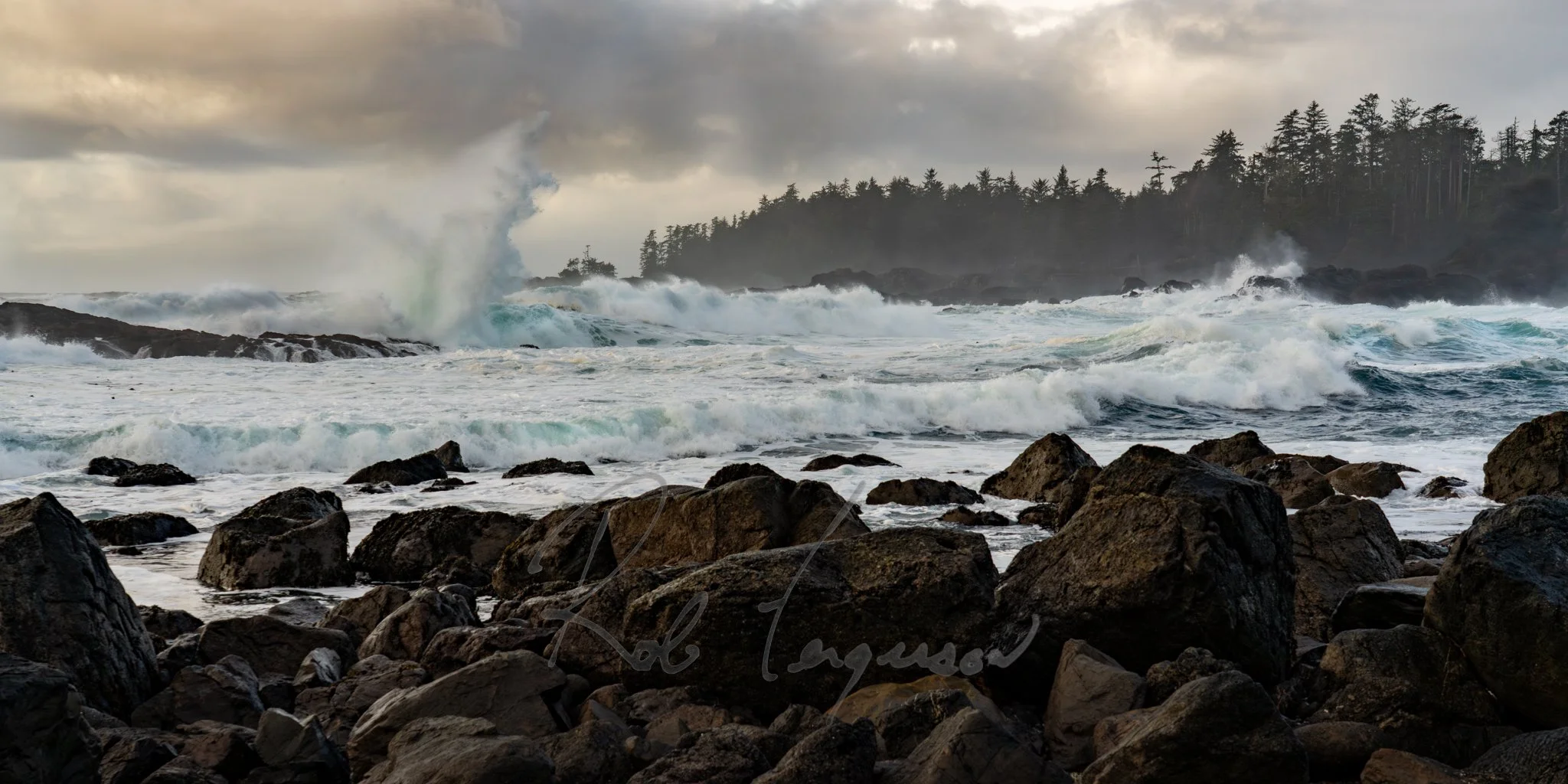 Dragons of the Pacific