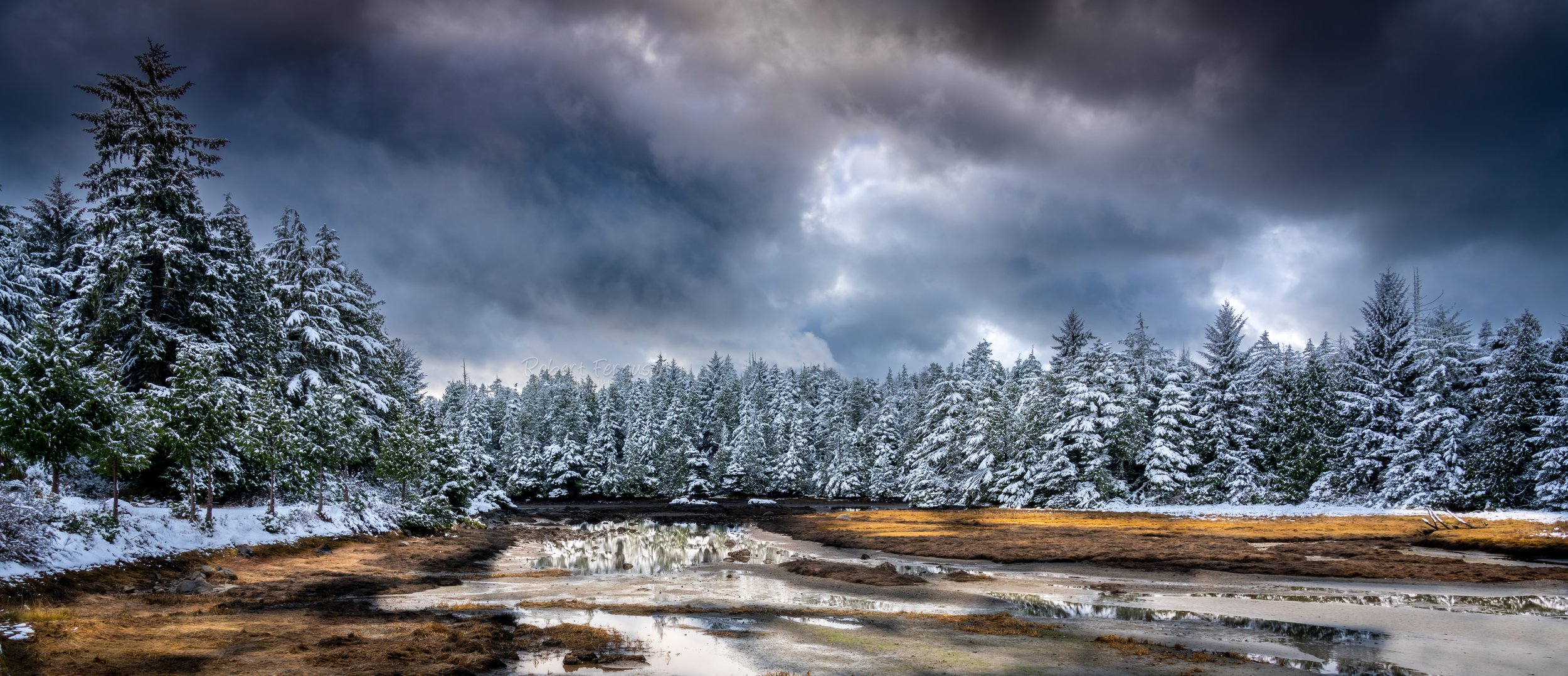Winter Stormfront