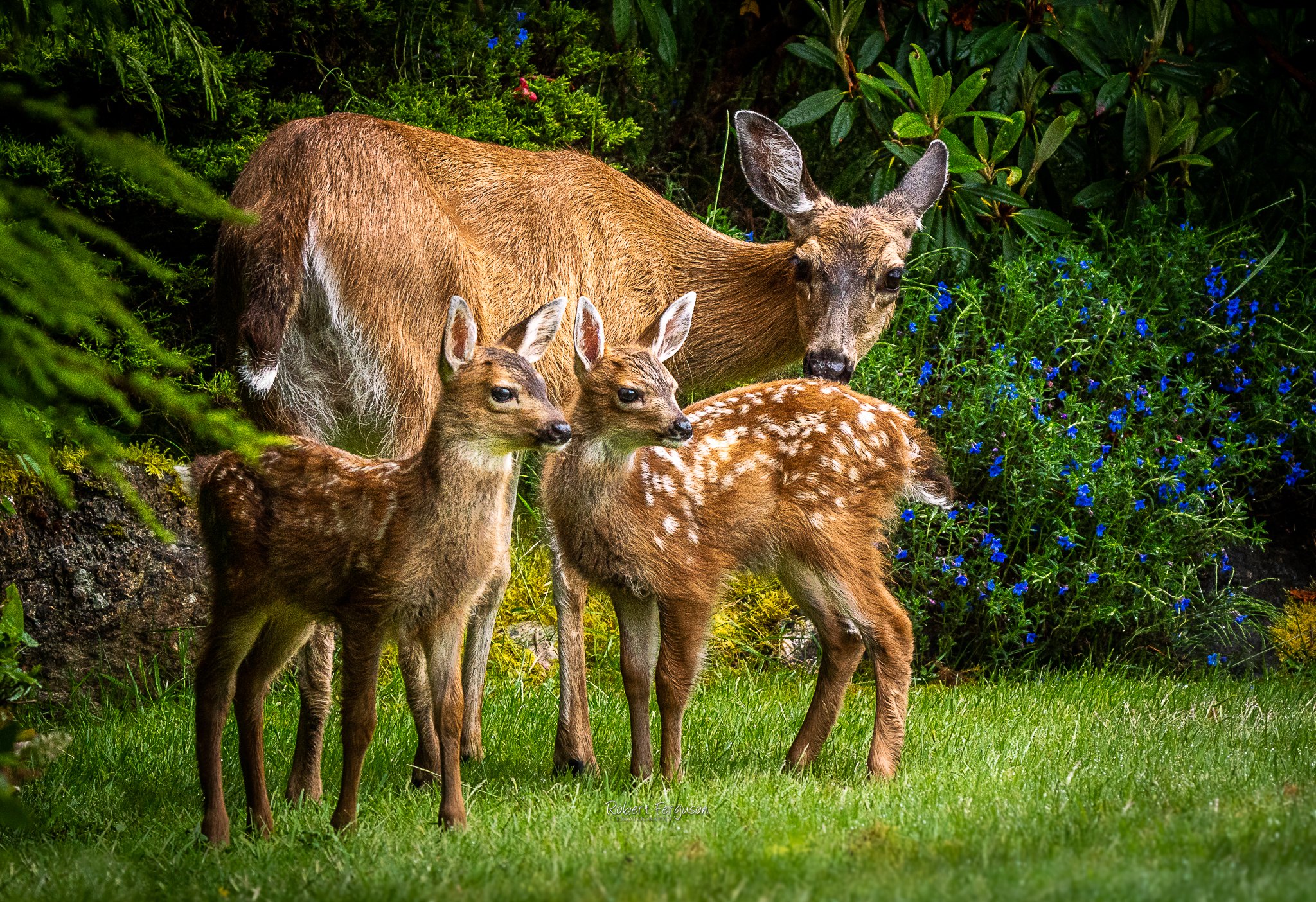 Family Portrait