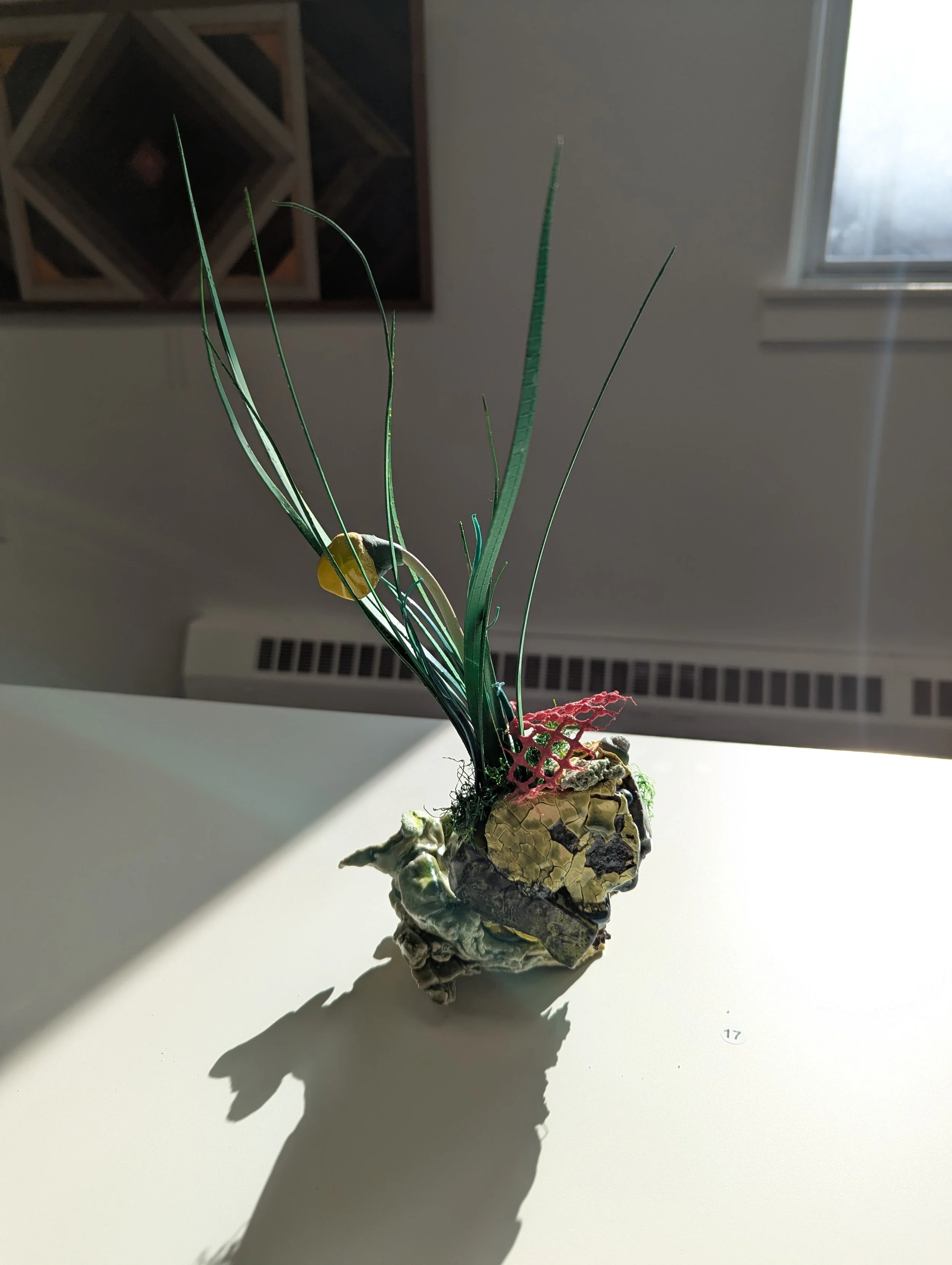 PXL_20260612_221014274.jpg