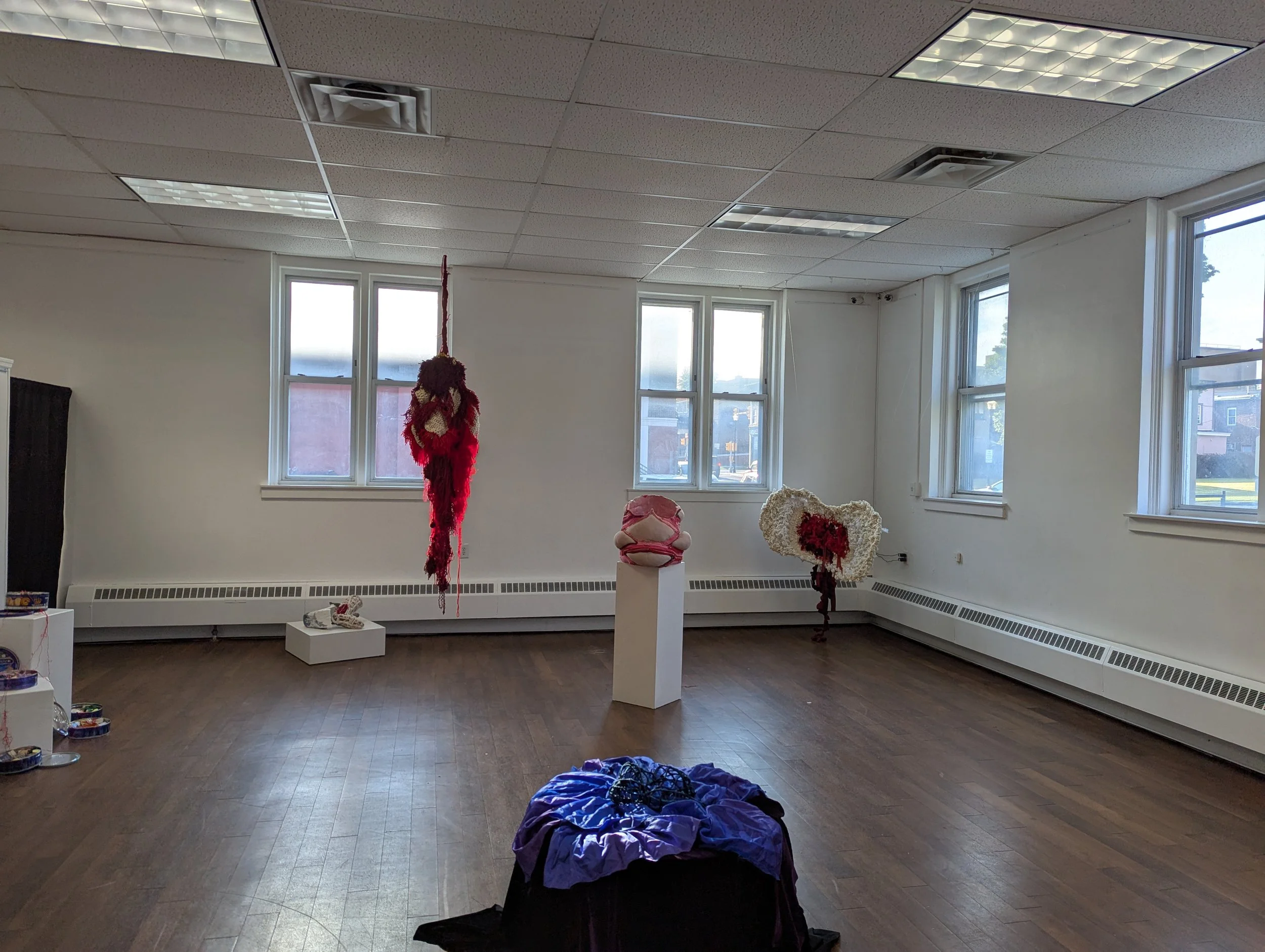 PXL_20250905_211316102.jpg