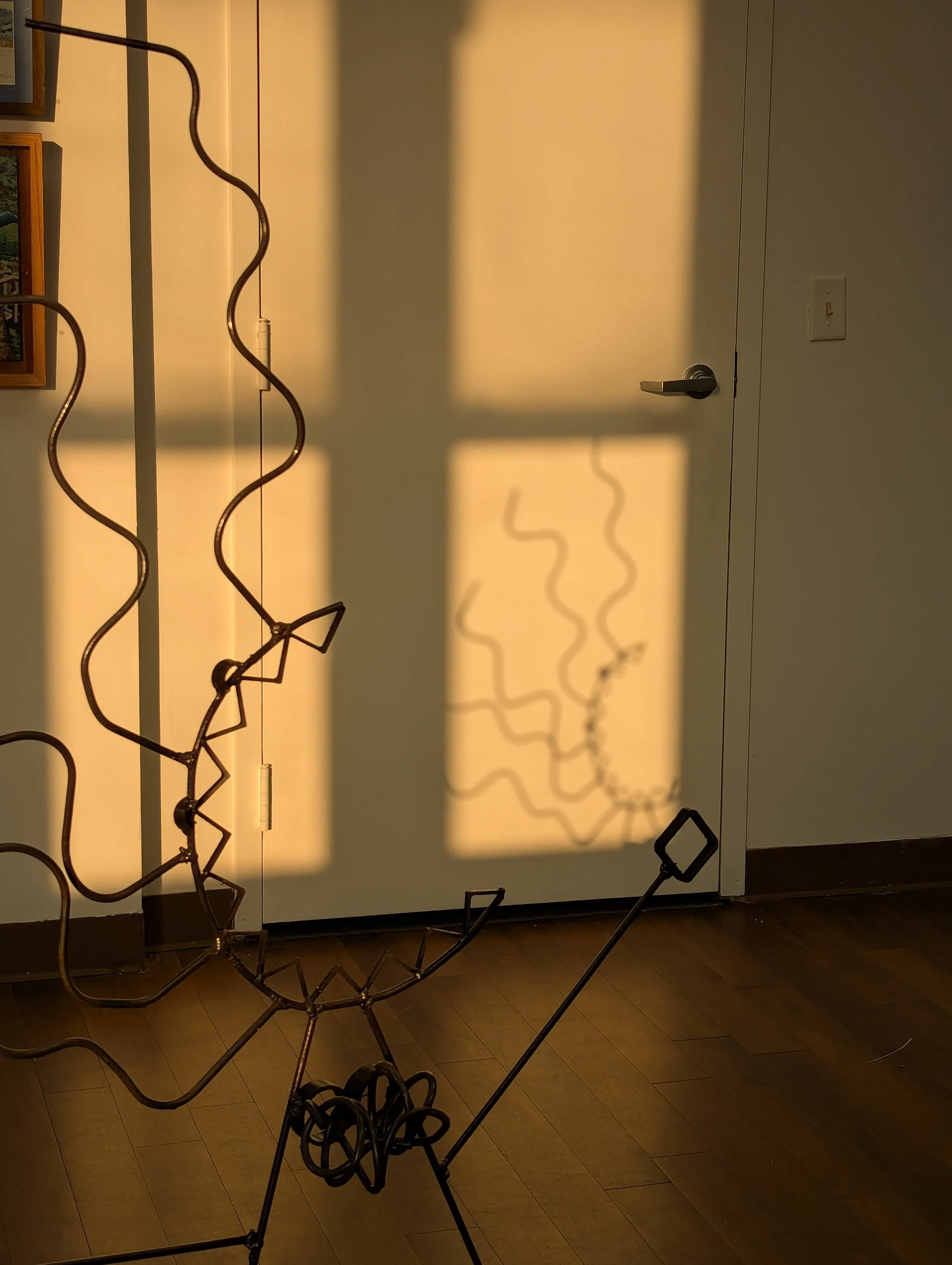 PXL_20250711_232324611.jpg