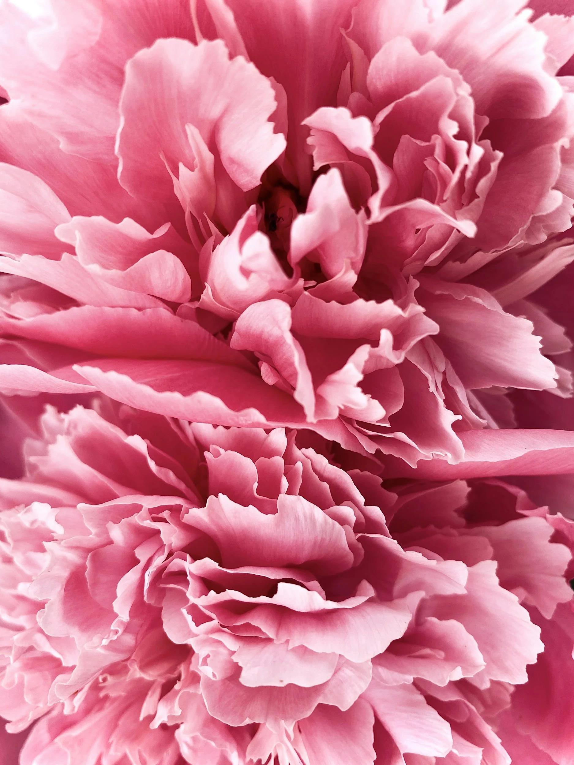 unsplash-image-caiPtZ1INzM.jpg