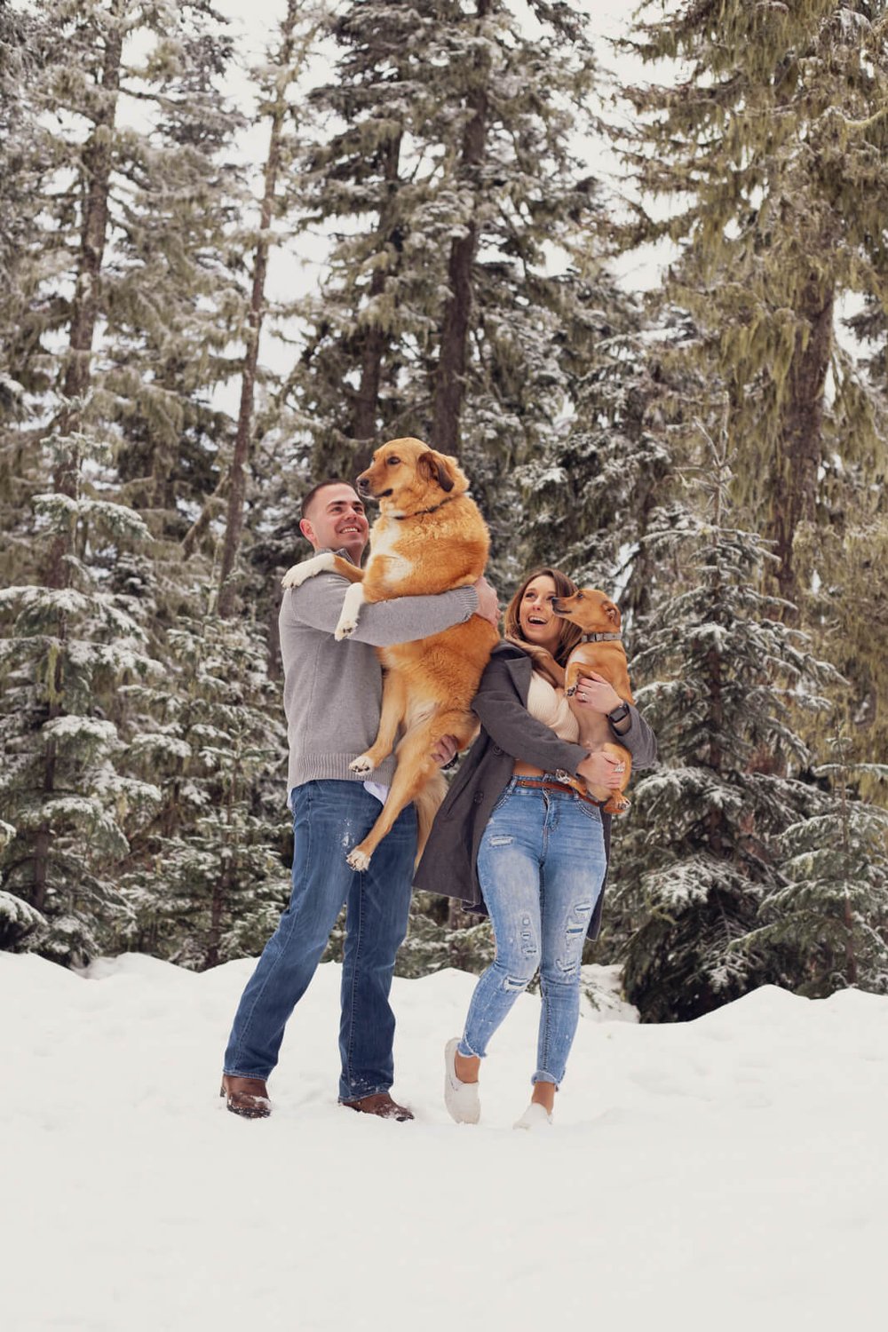 engaged man and woman holding dogs in the snow