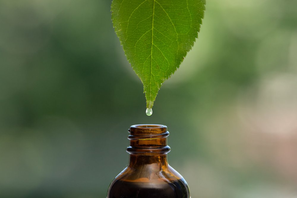 green leaf dripping liquid into brown medicinal jar