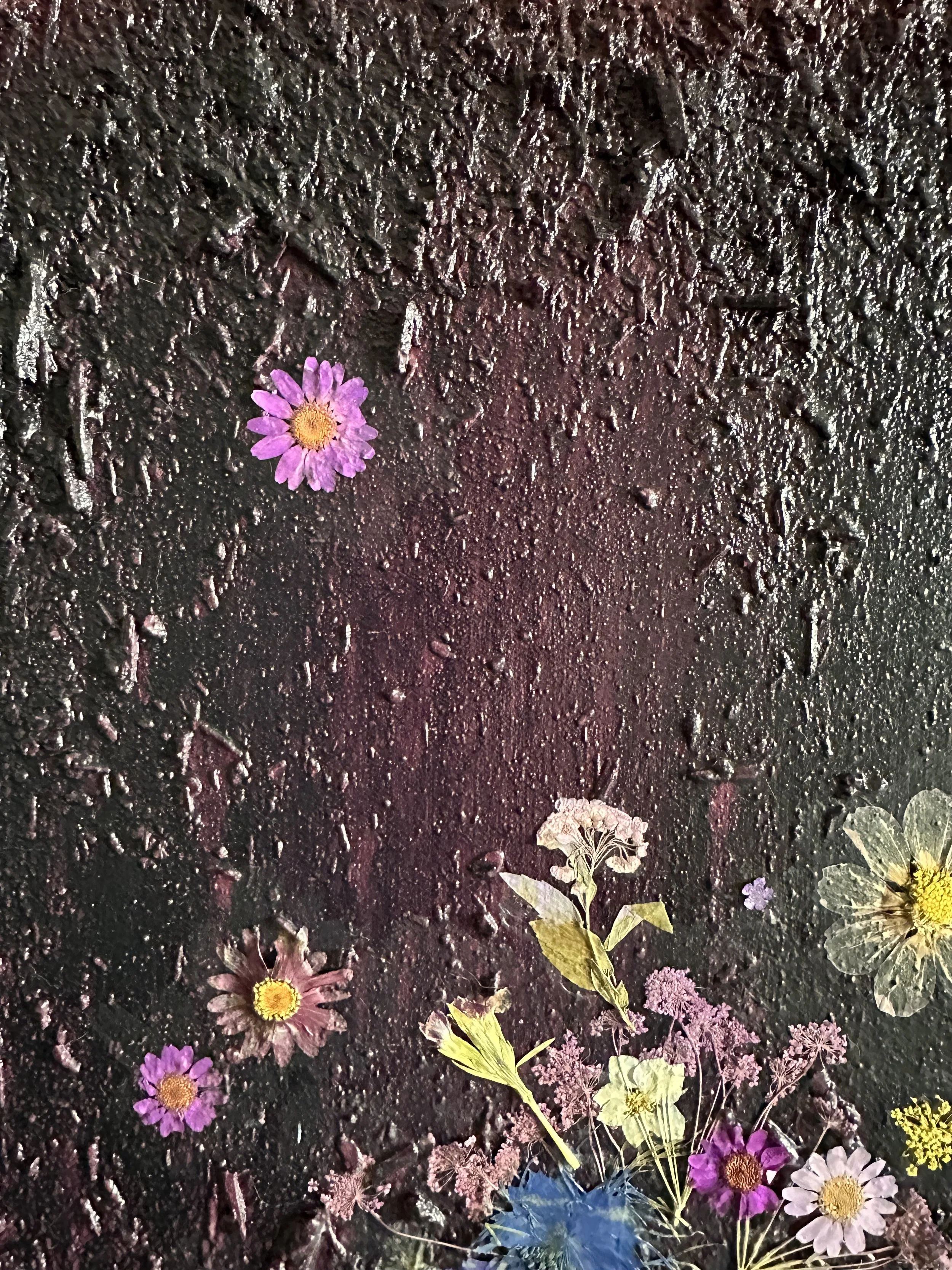 IMG_2375.jpeg