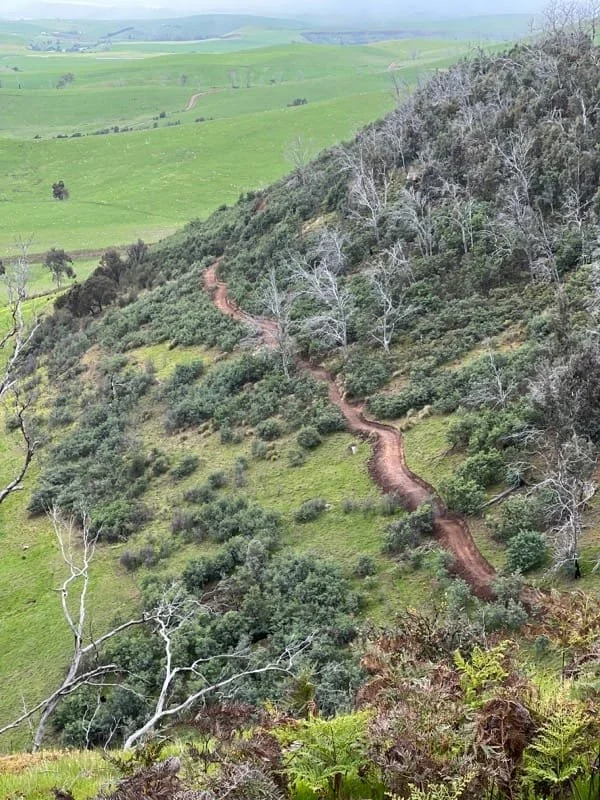 Meadowbank MTB_trail1.jpeg