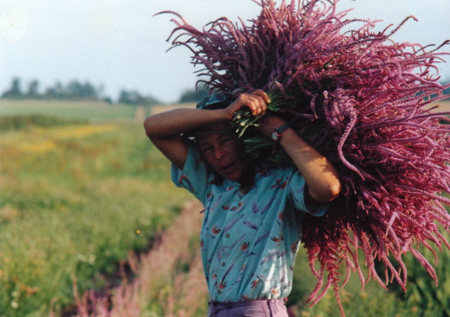 arbordoun calendula cream