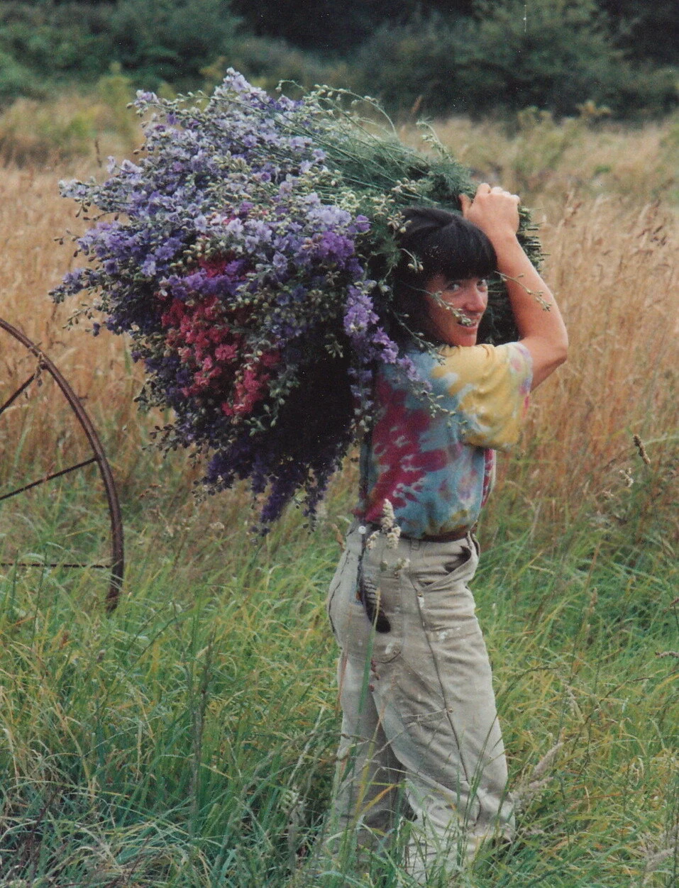 Harvesting a colorful bouquet of flowers from the field.