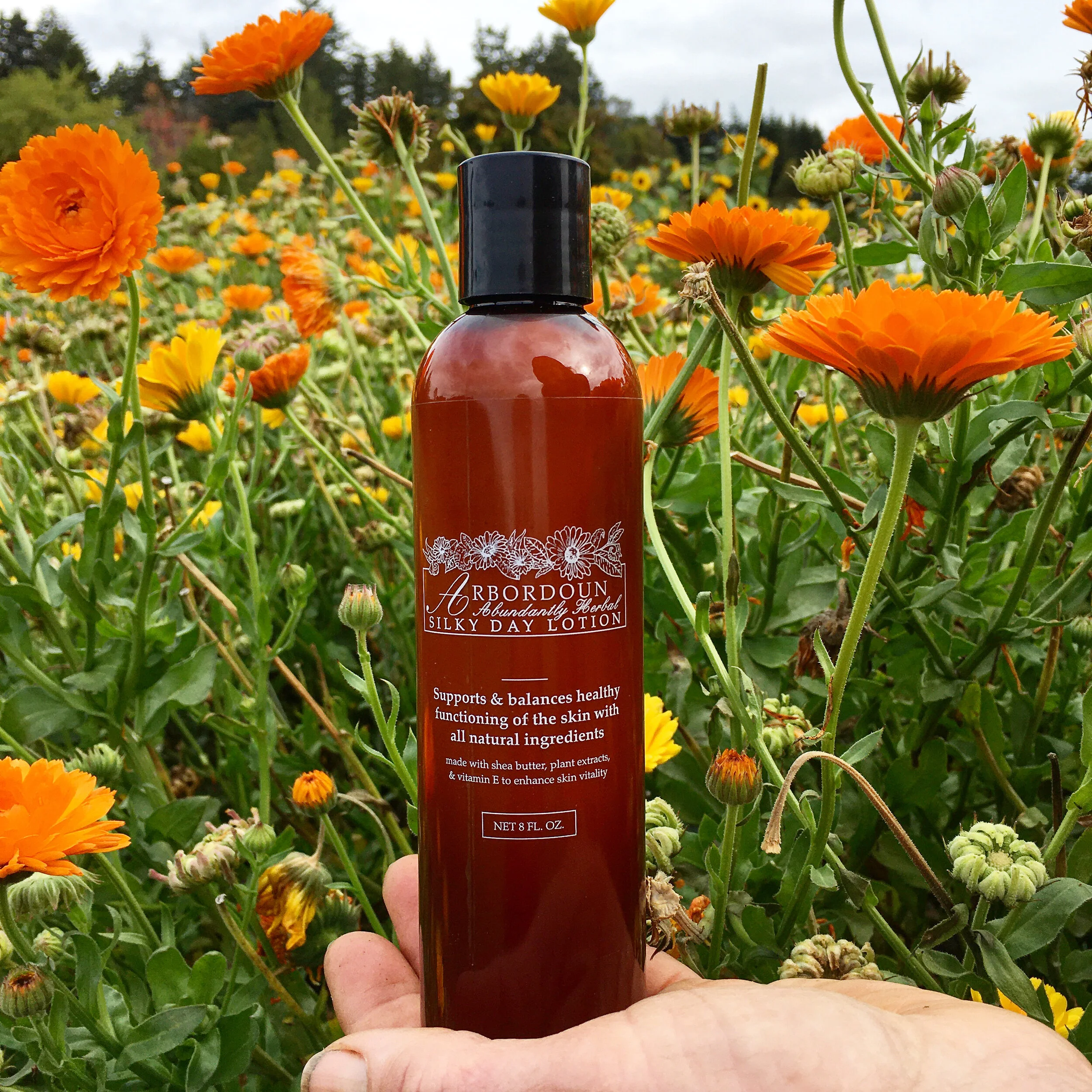 arbordoun calendula cream