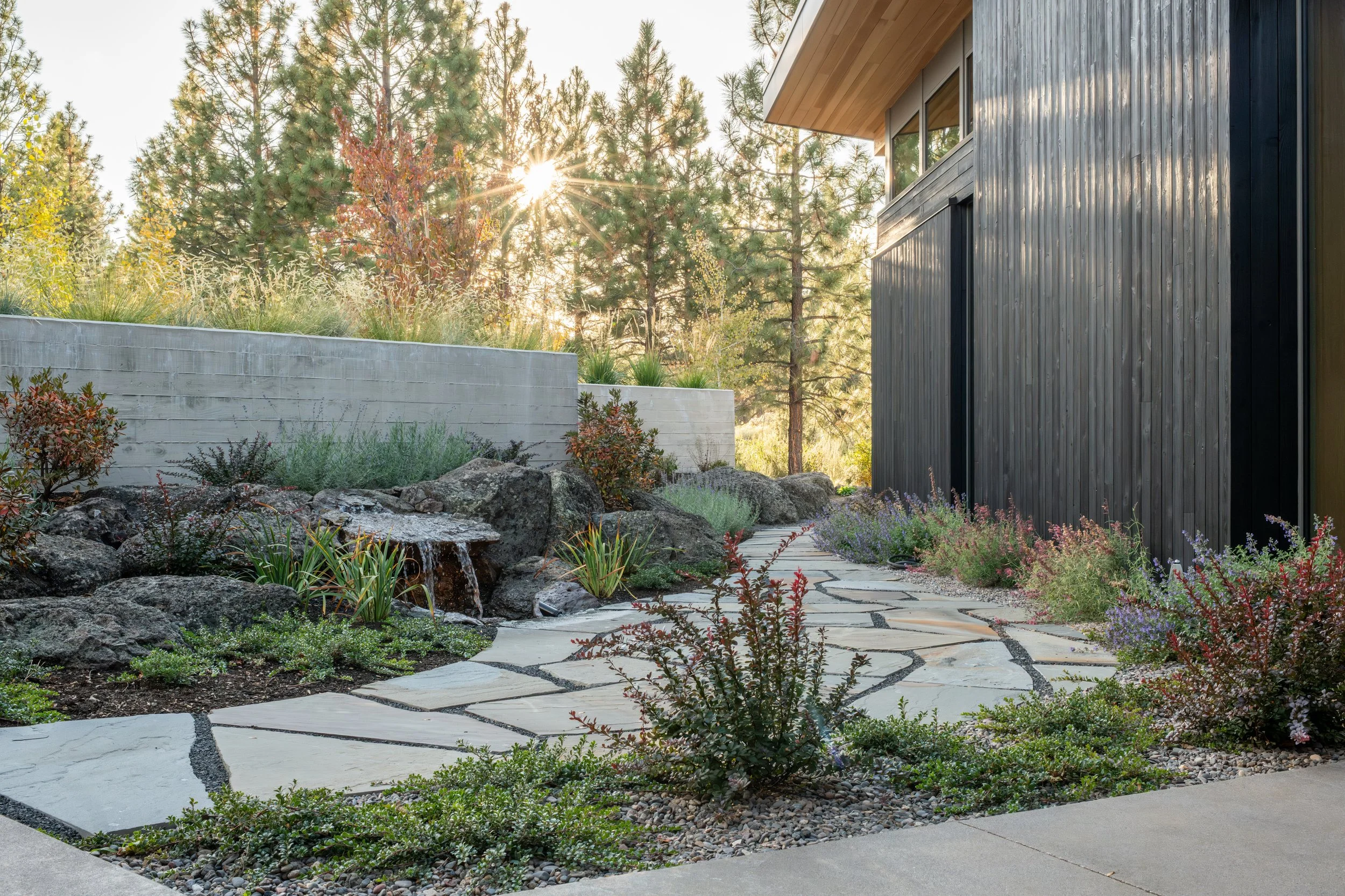 Flagstone pathway with basalt water feature, native landscaping, and board-formed concrete wall leading to modern custom home with dark vertical siding in Bend Oregon
