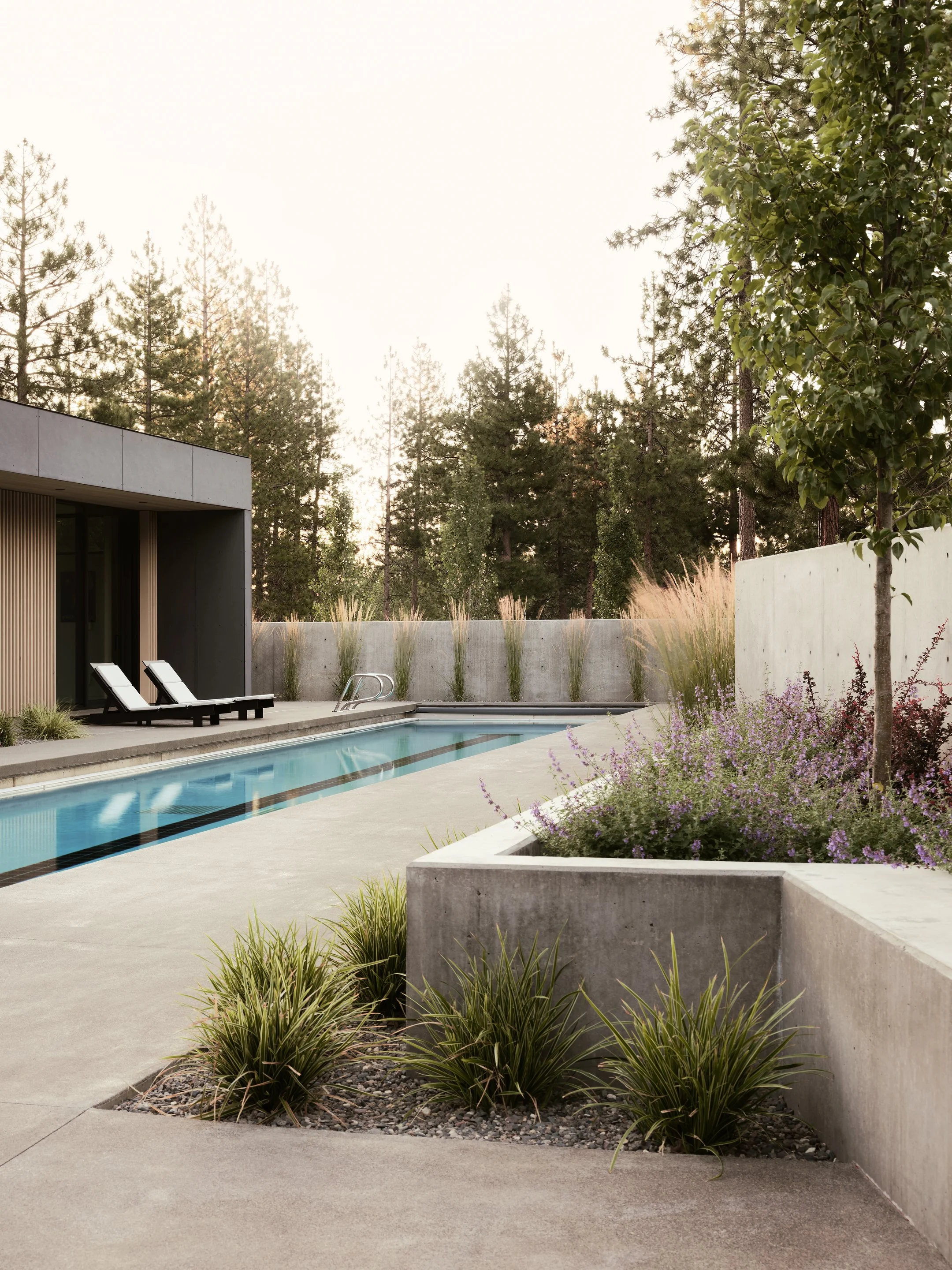 Modern backyard with a rectangular pool, two lounge chairs, trees, and a concrete wall with plants and flowers