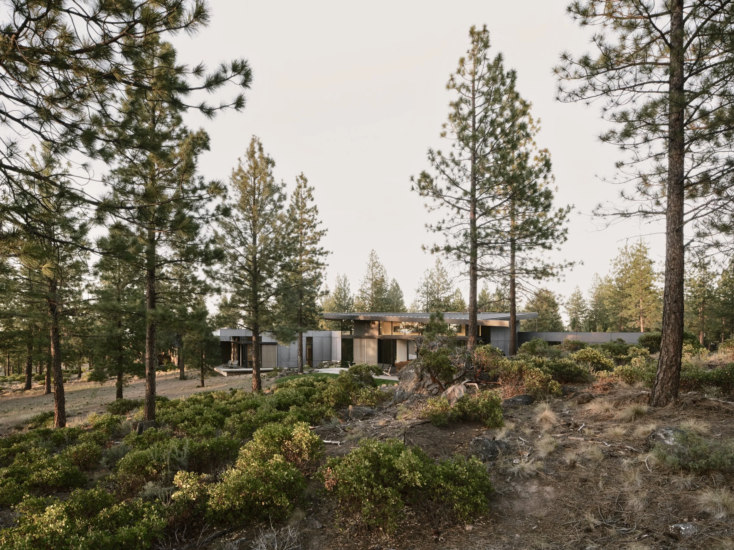 High desert modern custom home with flat roof, dark exterior, and vertical wood slat accents nestled among ponderosa pines and native manzanita landscaping in Bend Oregon