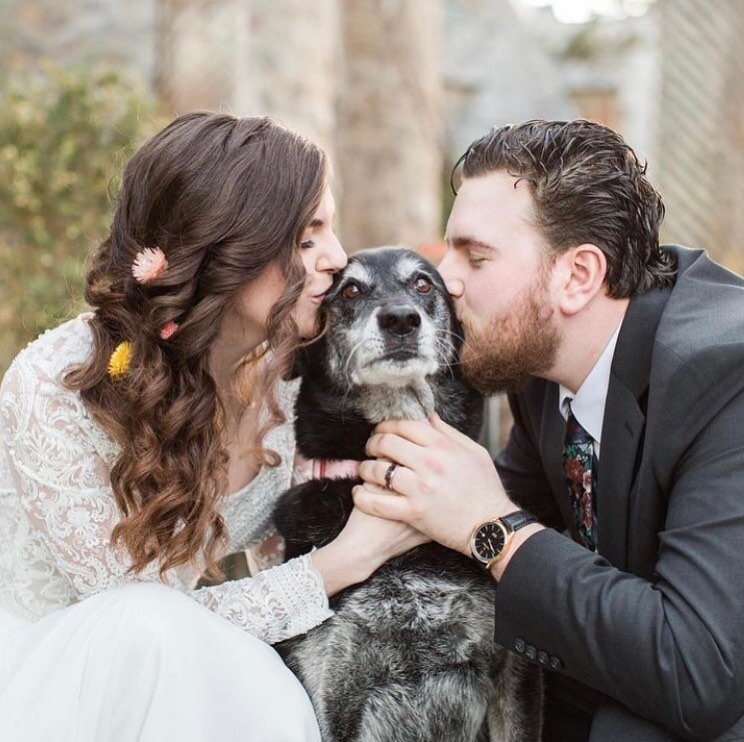 LOVE when a furry family member is also a part of the big day! This pretty little lady spent the morning getting ready with the girls before they all joined up at the castle to continue the celebrations. Happy #nationalpuppyday !

Photography @lauren