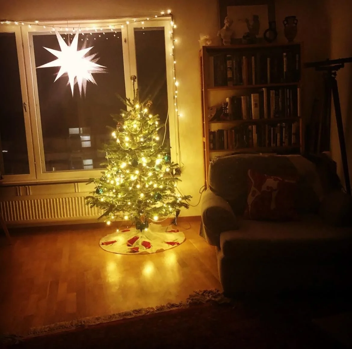 All of us here at the Sandra Carpenter Memorial wish you and yours a peaceful holiday season!❄️🤍
Here&rsquo;s a beautiful Sandy Christmas memory from 2018: 
&ldquo;We put up this little Christmas tree on Sunday and it makes me so happy. The blue orn