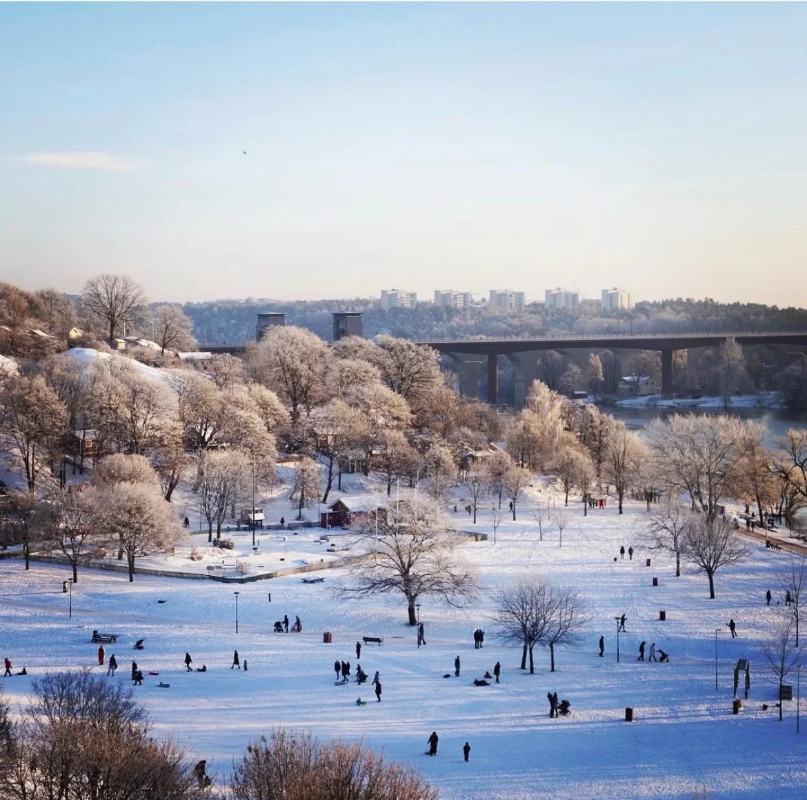 As snow continues to accumulate here in the Midwest, I couldn&rsquo;t help but remember Sandy&rsquo;s beautiful snow photos from Stockholm. 
Here&rsquo;s one from January 2018:
&ldquo;We&rsquo;re having snow showers right now and it was dark and gray