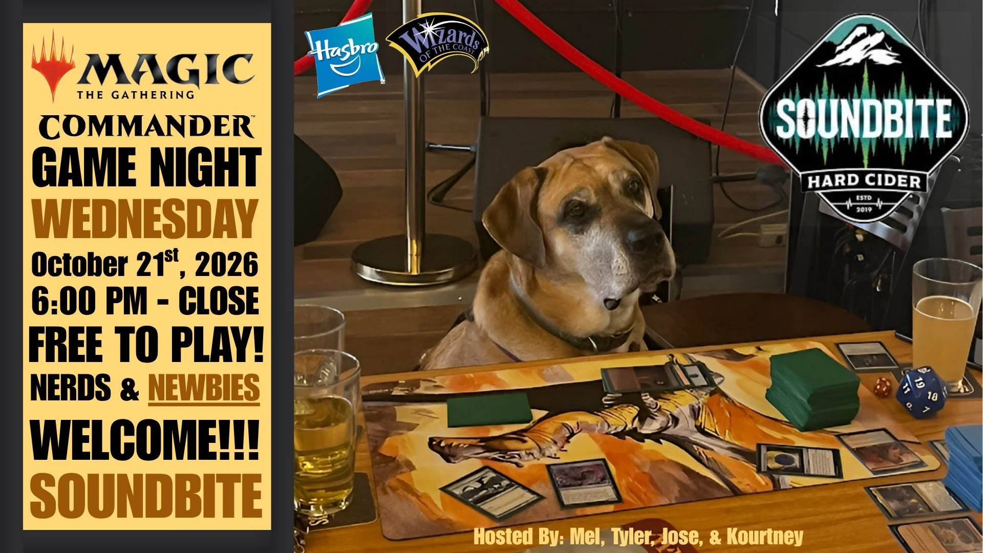 Magic: The Gathering Game Night