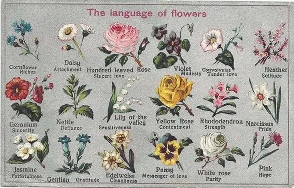 In Victorian times, messages of love could be sent to a friend or lover through a small bouquet of sweet-scented flowers called a nosegay, posy, or tussie-mussie.&nbsp;Without so much as a word, either spoken or written, one&rsquo;s feelings could be
