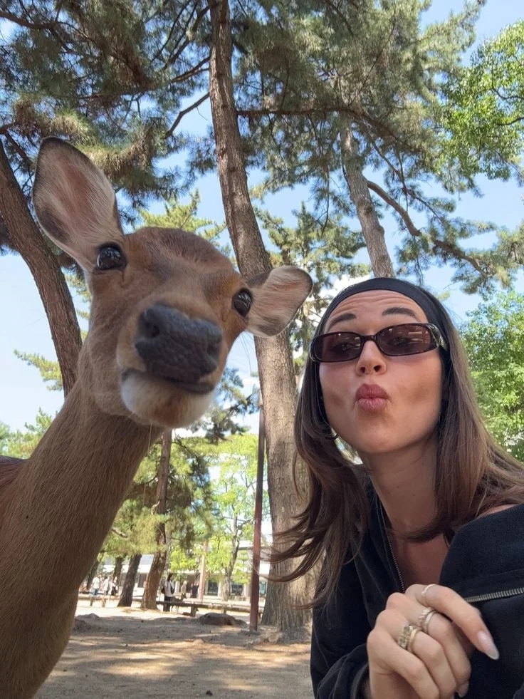 You know what? Kyoto will be my favorite city in….jpg