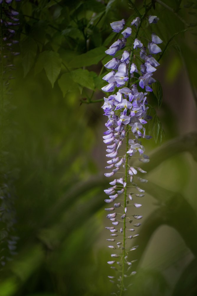 DSC_2050.jpg