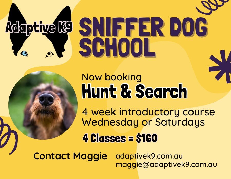 Ever wanted to train your dog to sniff something out on cue?

Sniffer Dog School is designed to teach your dog how to search using their nose. This will allow you to compete in the sport of Nosework ongoing or just have a new skill to train for fun. 