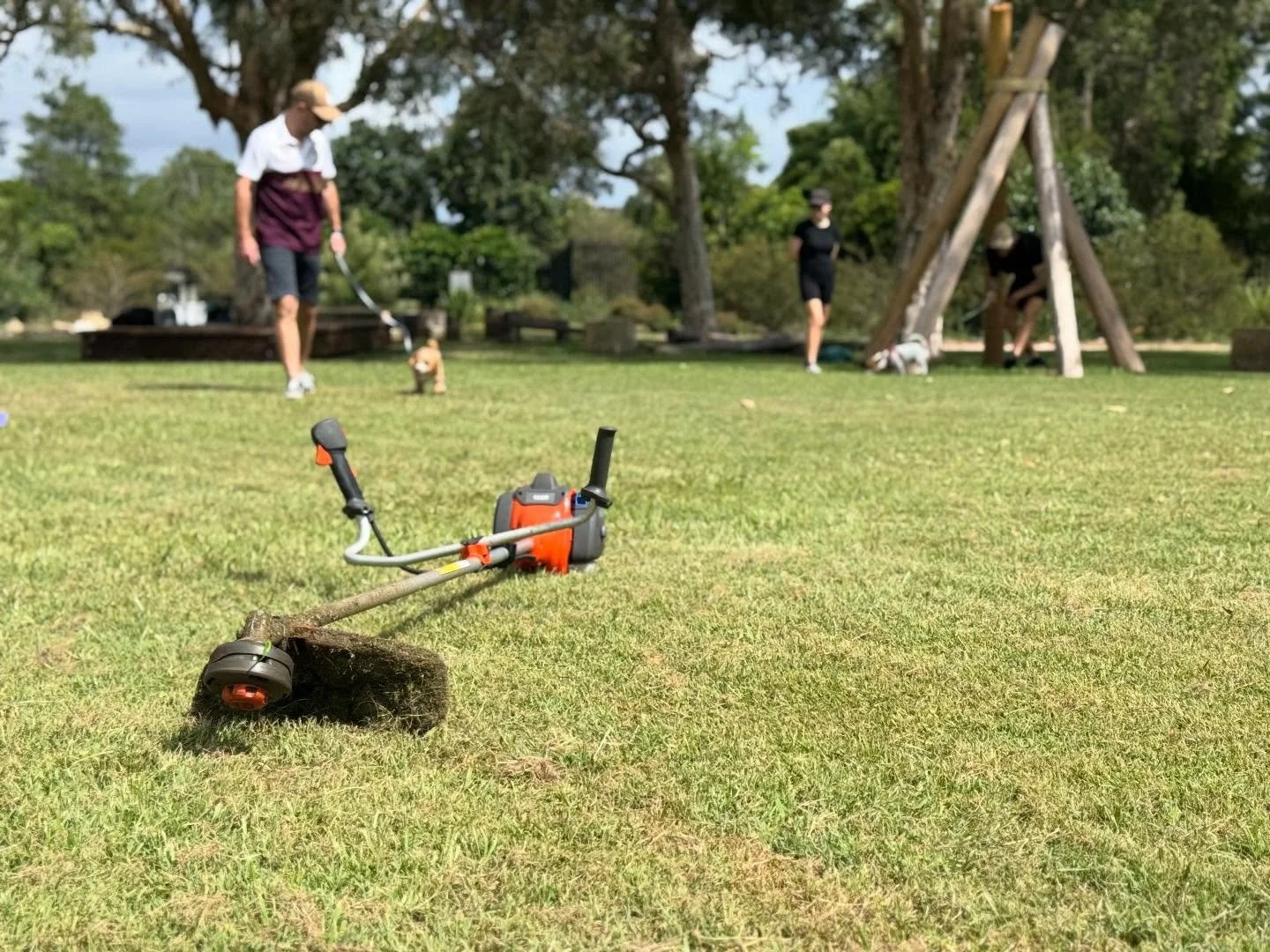 Today in Puppy Class we worked on:

- Restrained recalls into play
- Focus on handler 
- Leash walking foundations
- Exposure to machinery 
- How to reduce puppy biting 

There are places open in puppy class right now, you can start from the week you