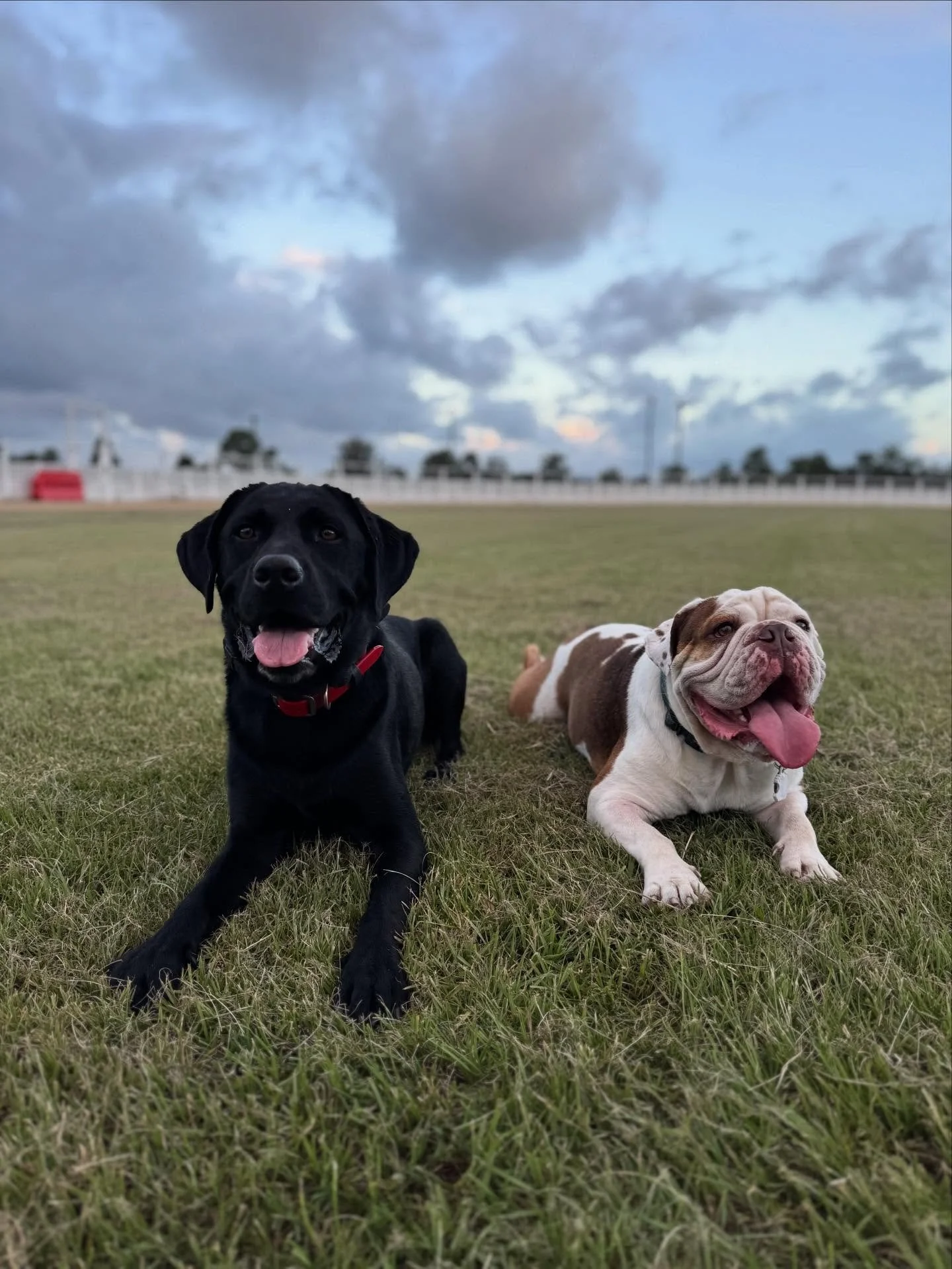 &ldquo;Did we just become best friends?&rdquo;
&ldquo;YUP!&rdquo;