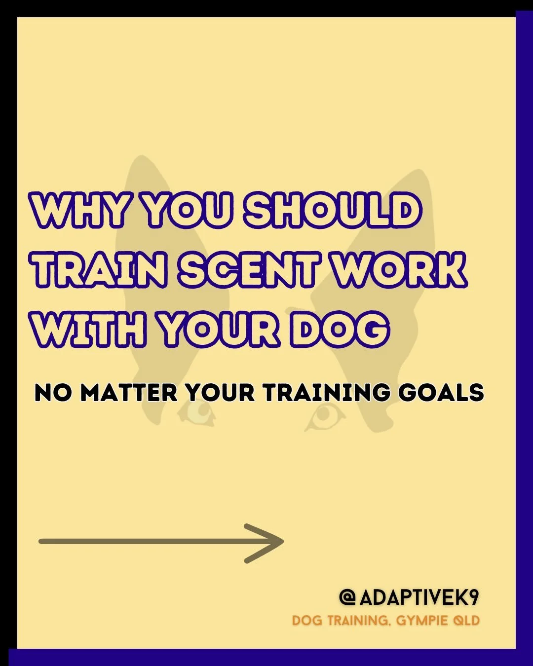 Scent work is fun, simple to start and very fulfilling to most dogs.

If you want to learn how to start this skill with your dog, reach out! 

#scenttraining #detectiondog #gympie #gympieregion