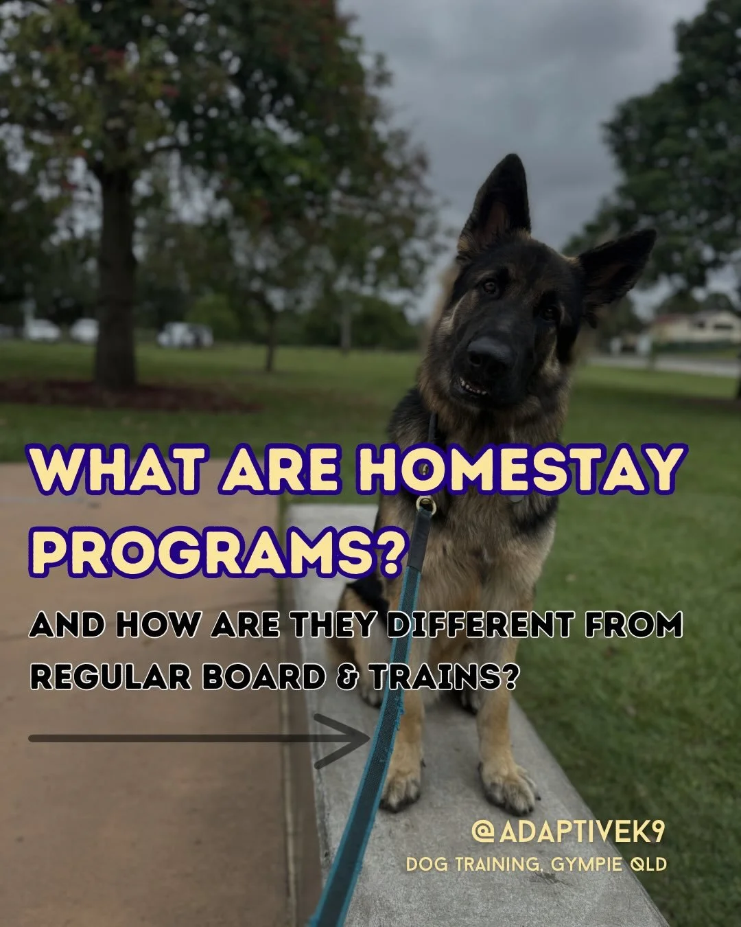 Homestay Programs 

The benefits of an intensive stay &amp; train, with owner education built in to make sure you are ready to progress together once your dog comes home.

This service is available from Hervey Bay - Sunshine Coast. Get in contact for