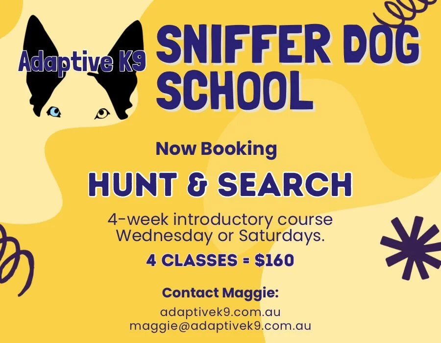 🐶 Sniffer Dog School - Gympie 

This class is designed to teach your dog how to search using their nose. This will allow you to compete in the sport of Nosework ongoing or just have a new skill to train for fun. 

Sniffer Dog School runs over 3 leve