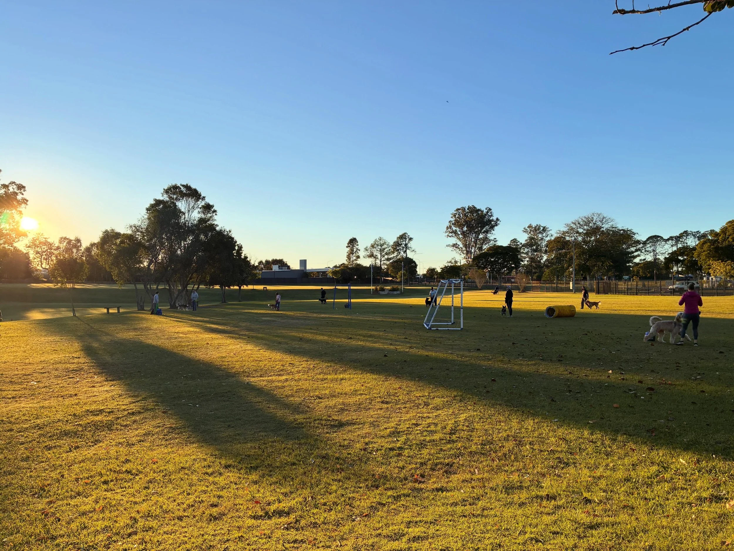 Wowee - big class this morning! 

My aim with classes is to give people a place to practice skills their dog already knows alongside other like minded people. 

Class doesn&rsquo;t run in blocks, but is open to anyone currently training with me to at