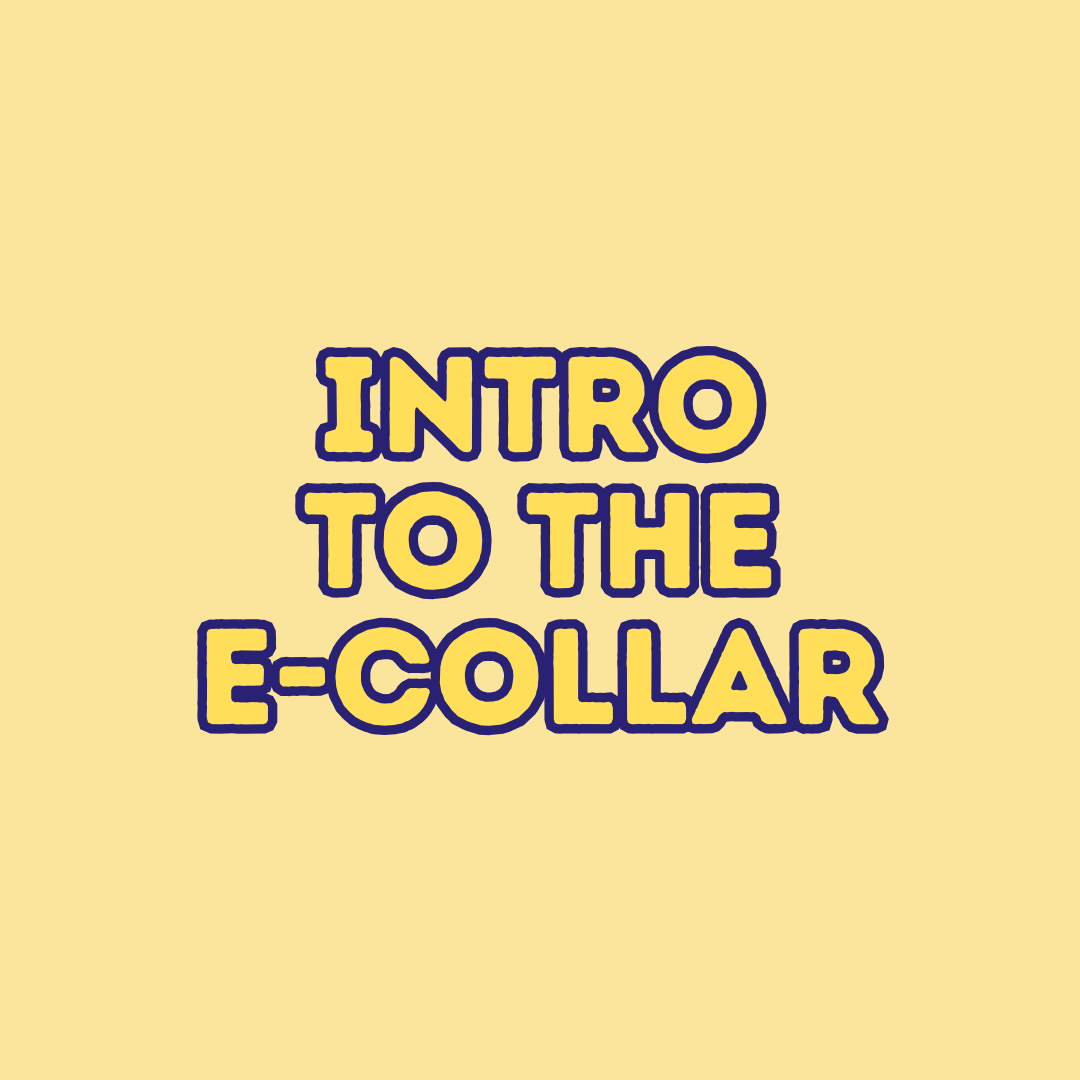 Introduction to the E-Collar